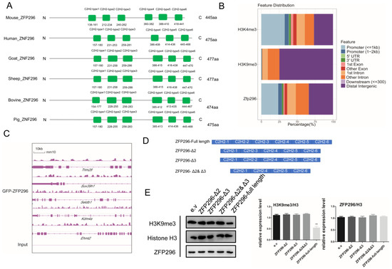 The Novel Role of Zfp296 in Mammalian Embryonic Genome Activation