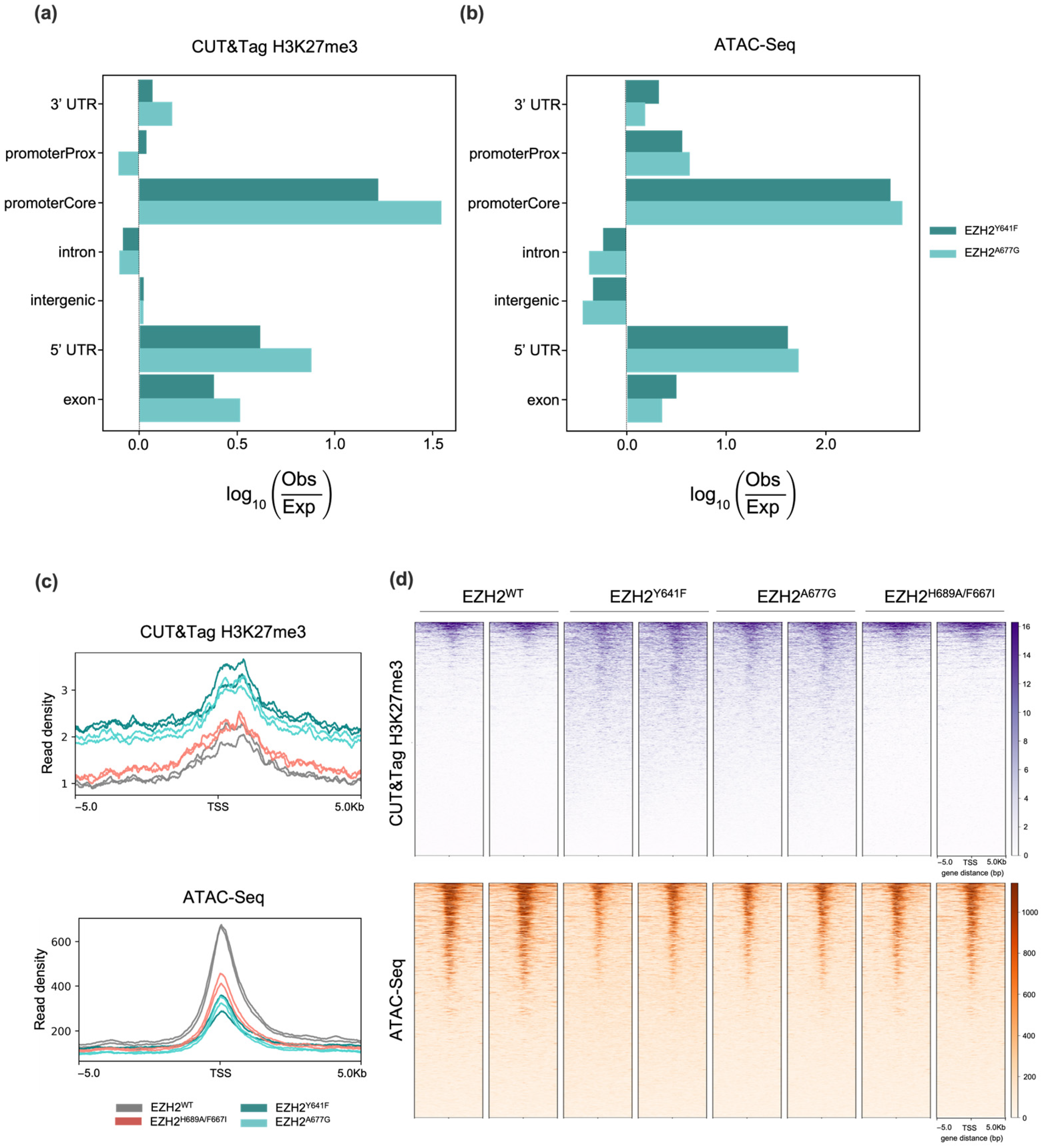 Ijms 24 11378 g002 Ijms 24 11378 g002