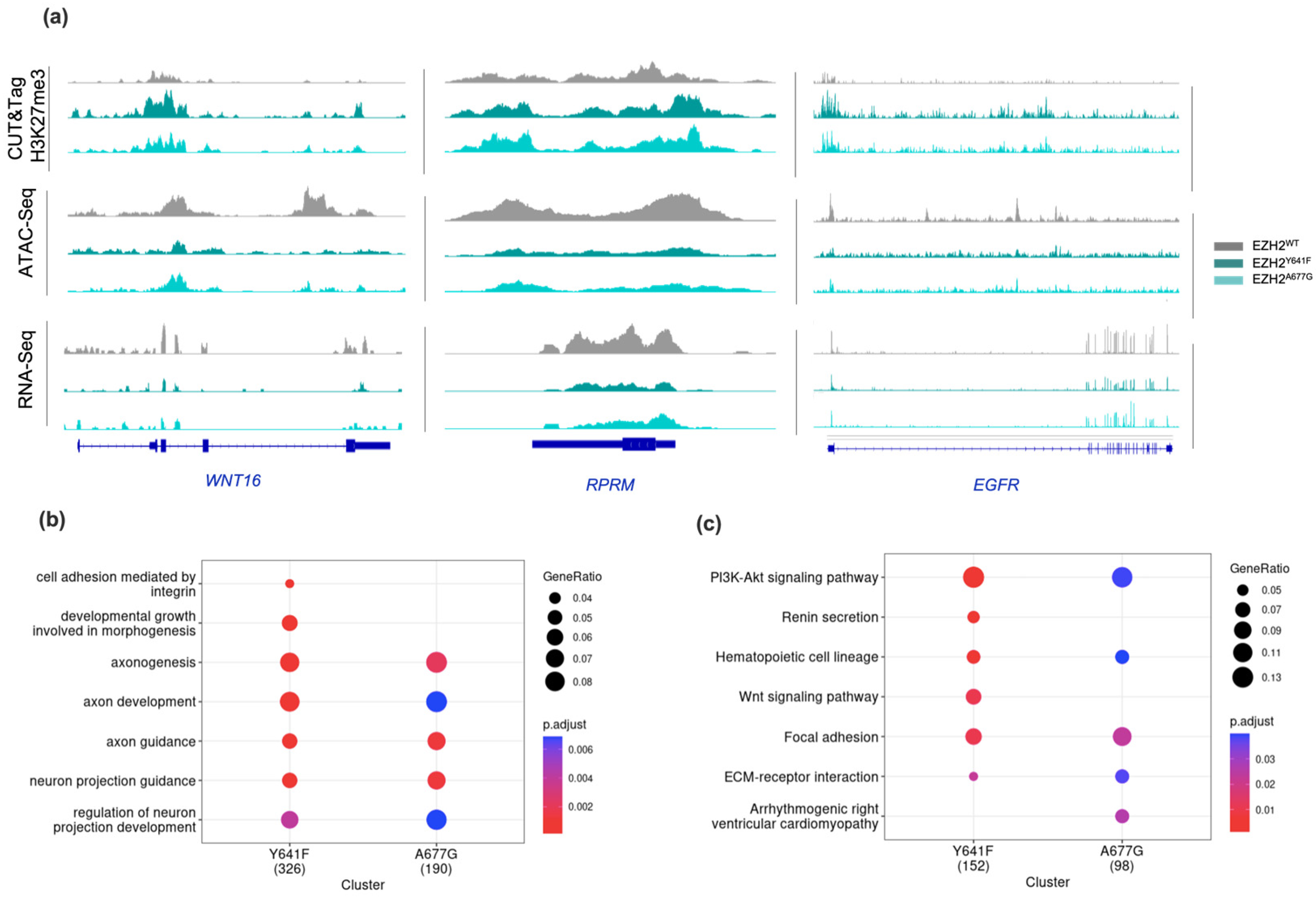 Ijms 24 11378 g003 Ijms 24 11378 g003