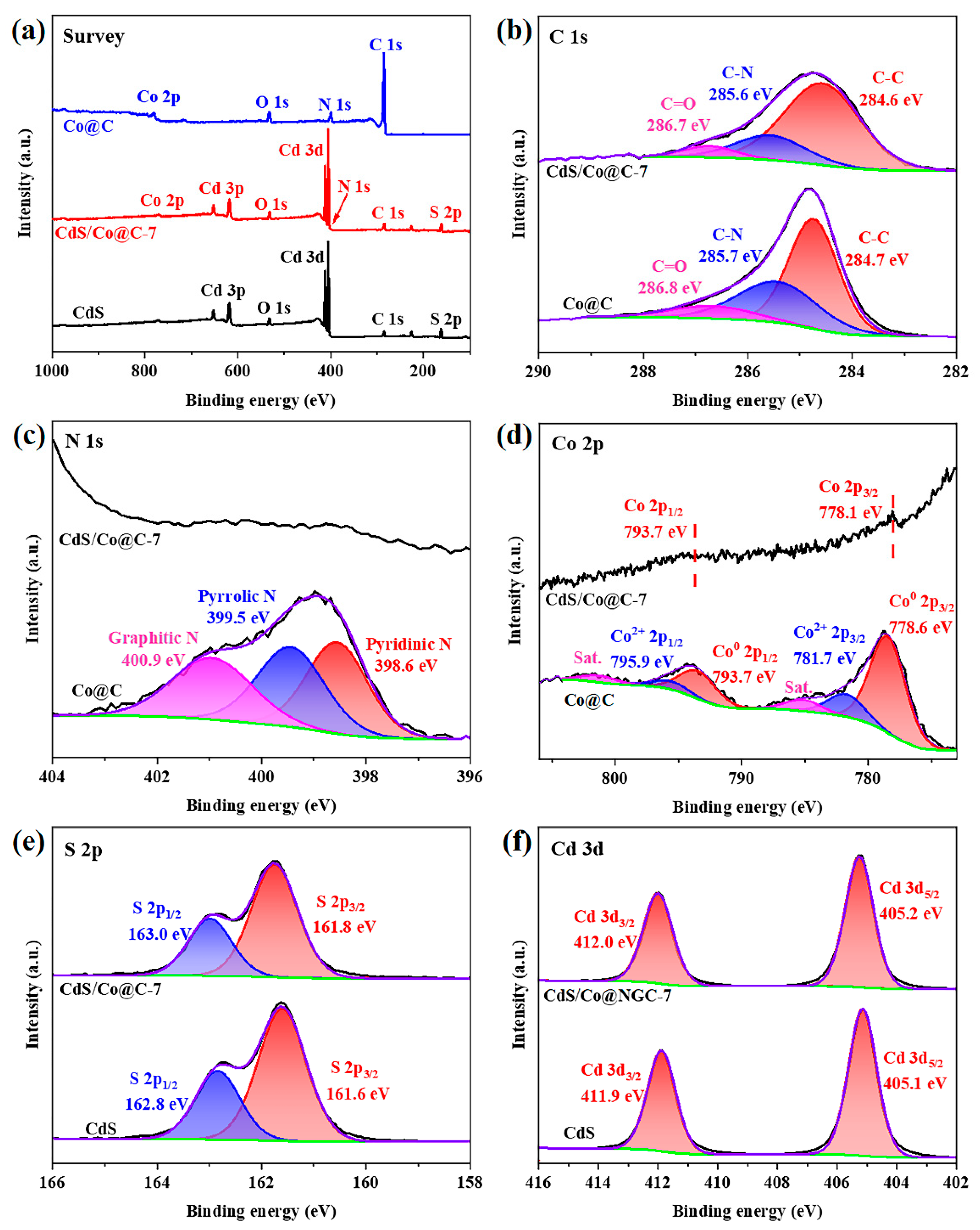 Ijms 24 11383 g004 Ijms 24 11383 g004