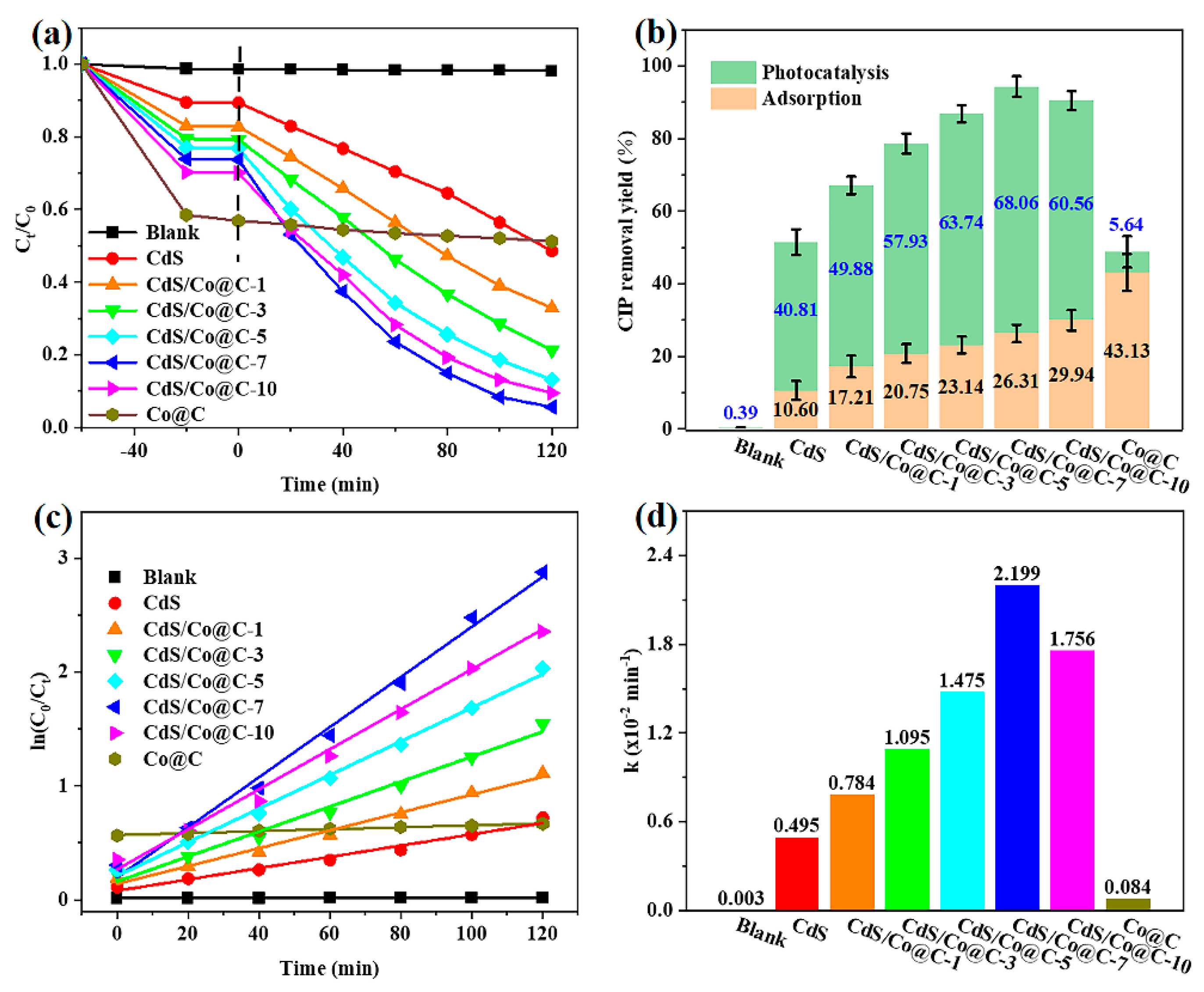 Ijms 24 11383 g006 Ijms 24 11383 g006