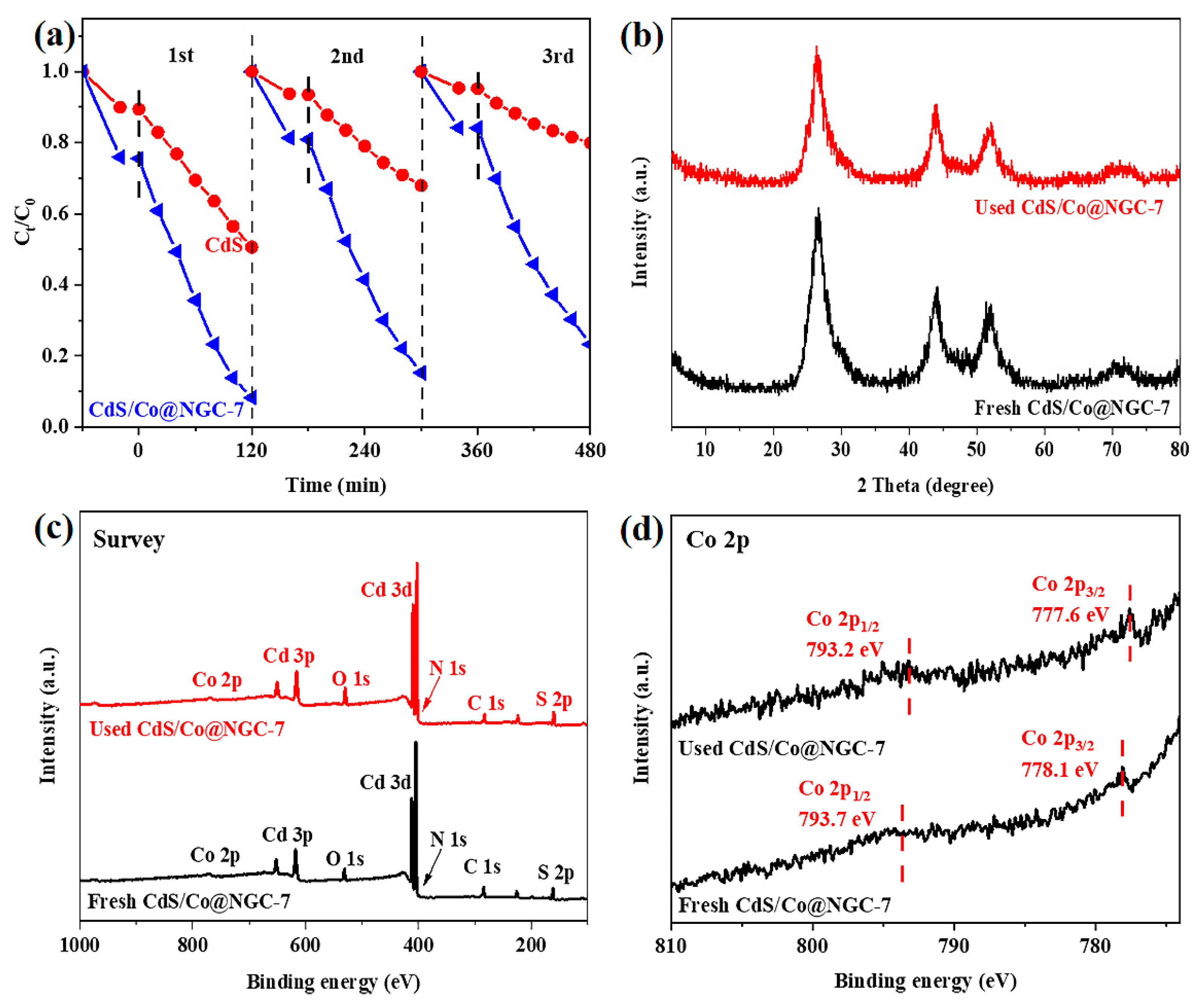 Ijms 24 11383 g008 Ijms 24 11383 g008