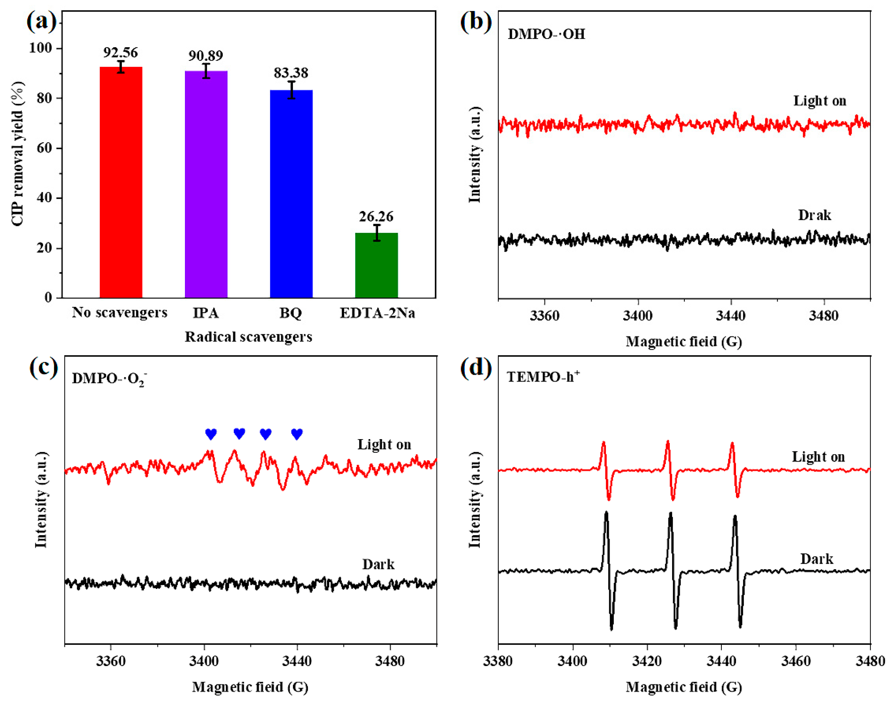 Ijms 24 11383 g010 Ijms 24 11383 g010