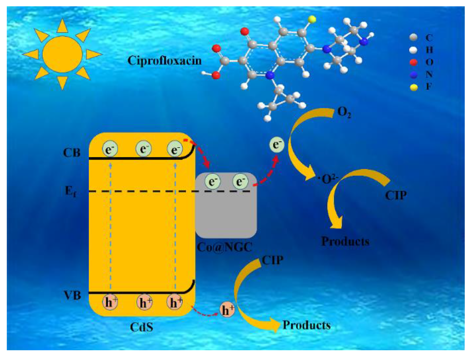 Ijms 24 11383 sch001 Ijms 24 11383 sch001