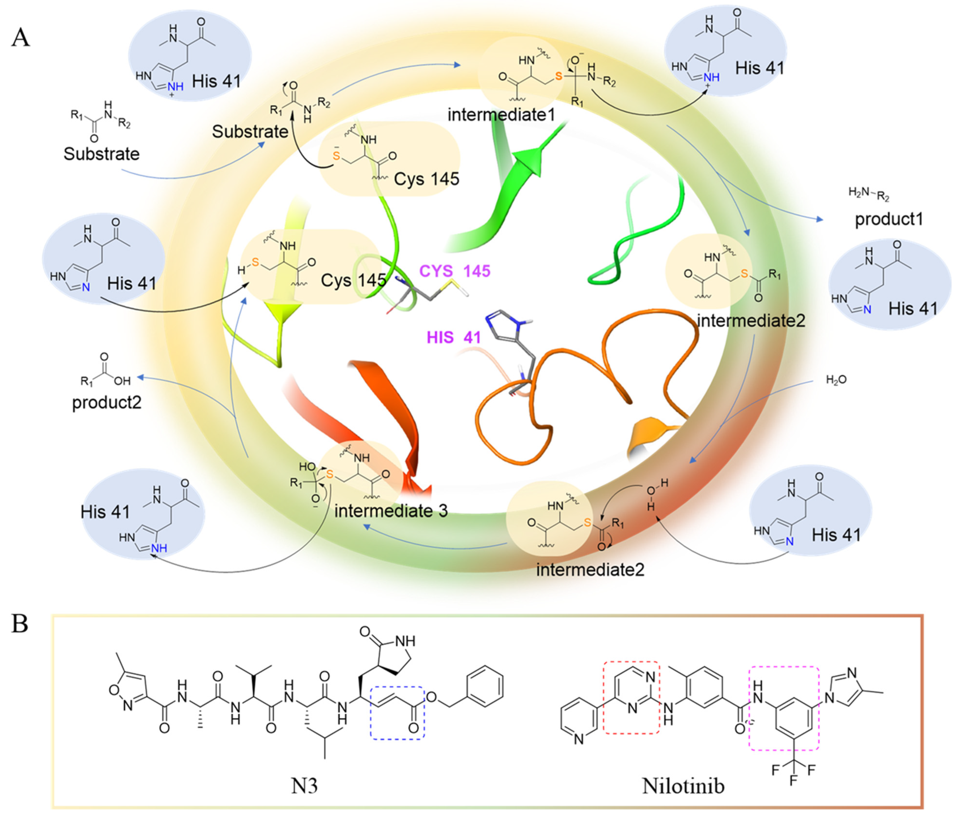 Ijms 24 11390 g001 Ijms 24 11390 g001