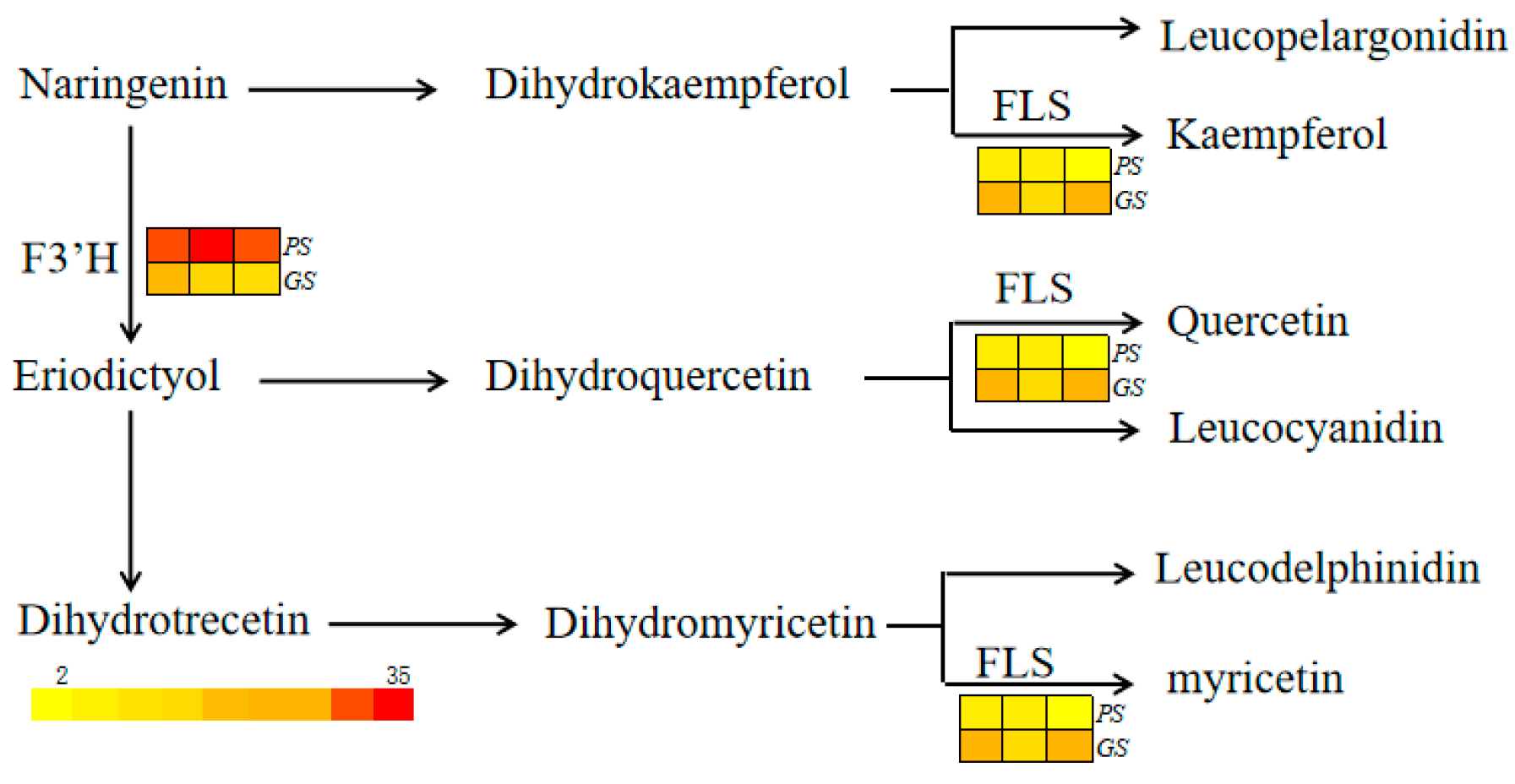 Ijms 24 11391 g003 Ijms 24 11391 g003