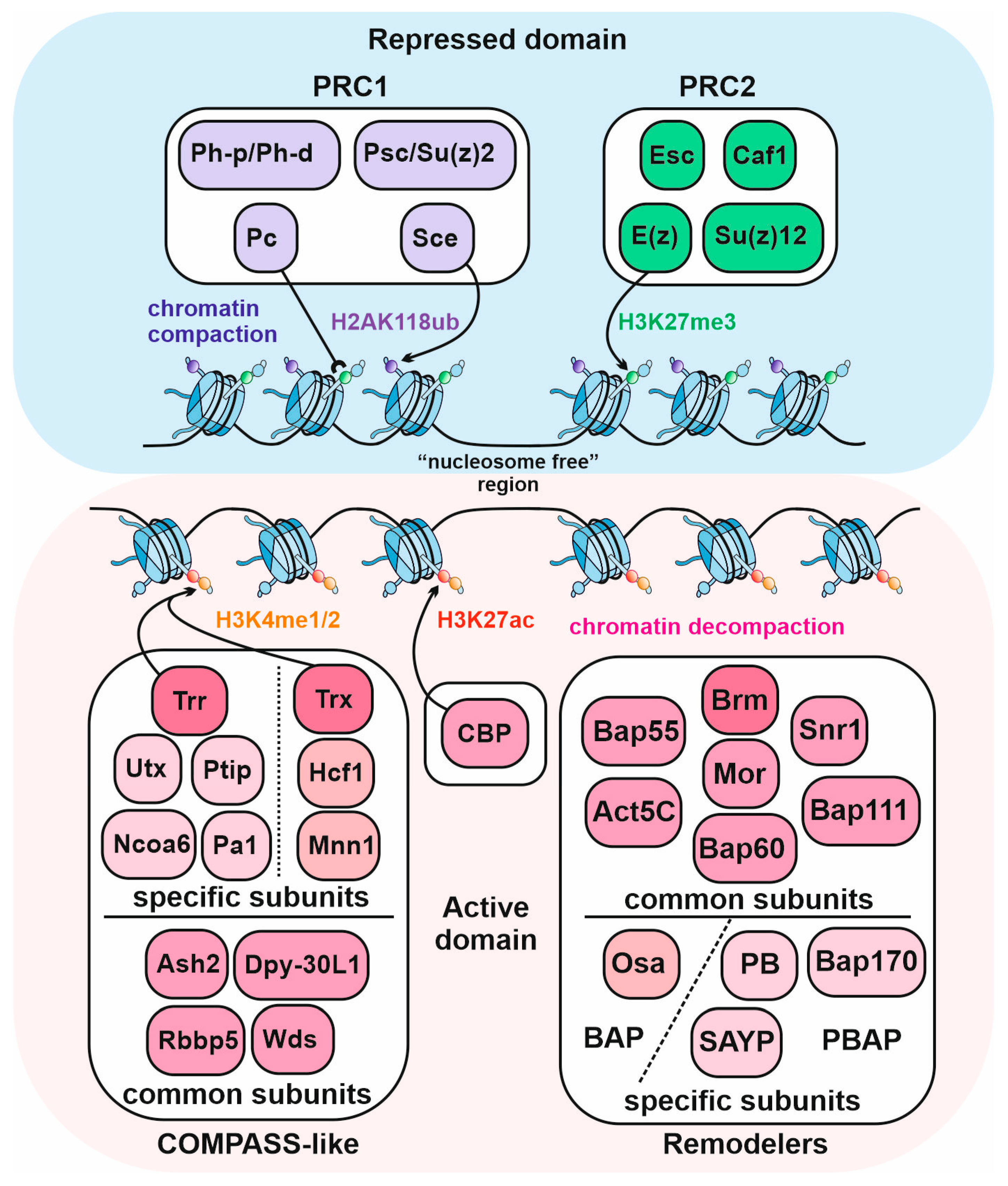 Ijms 24 11394 g001 Ijms 24 11394 g001