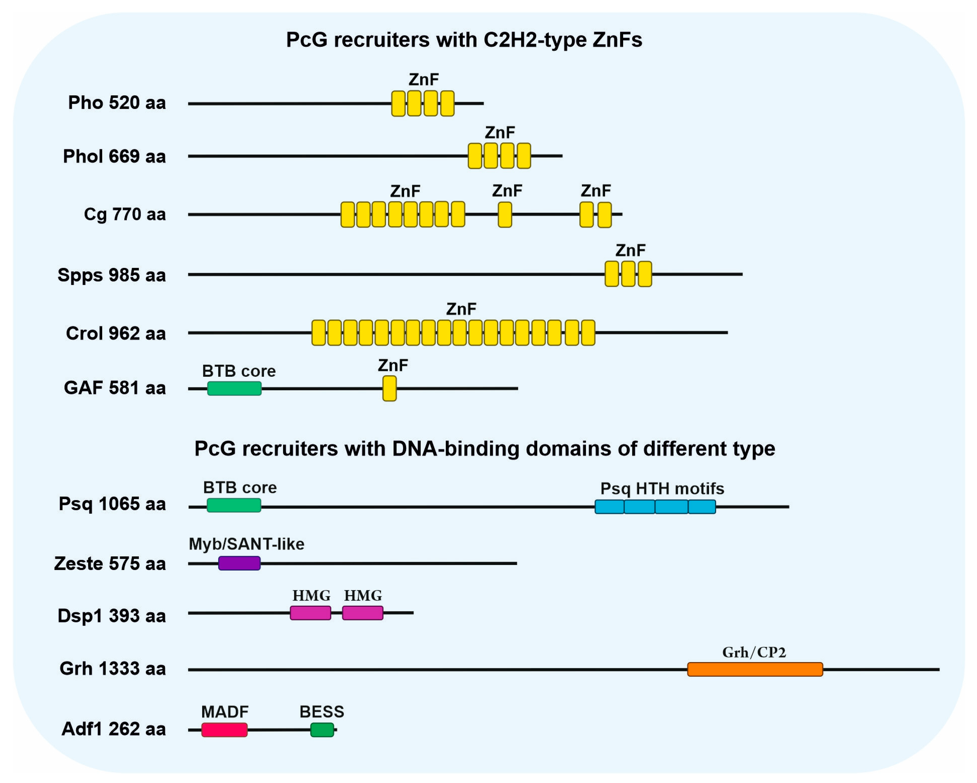 Ijms 24 11394 g002 Ijms 24 11394 g002