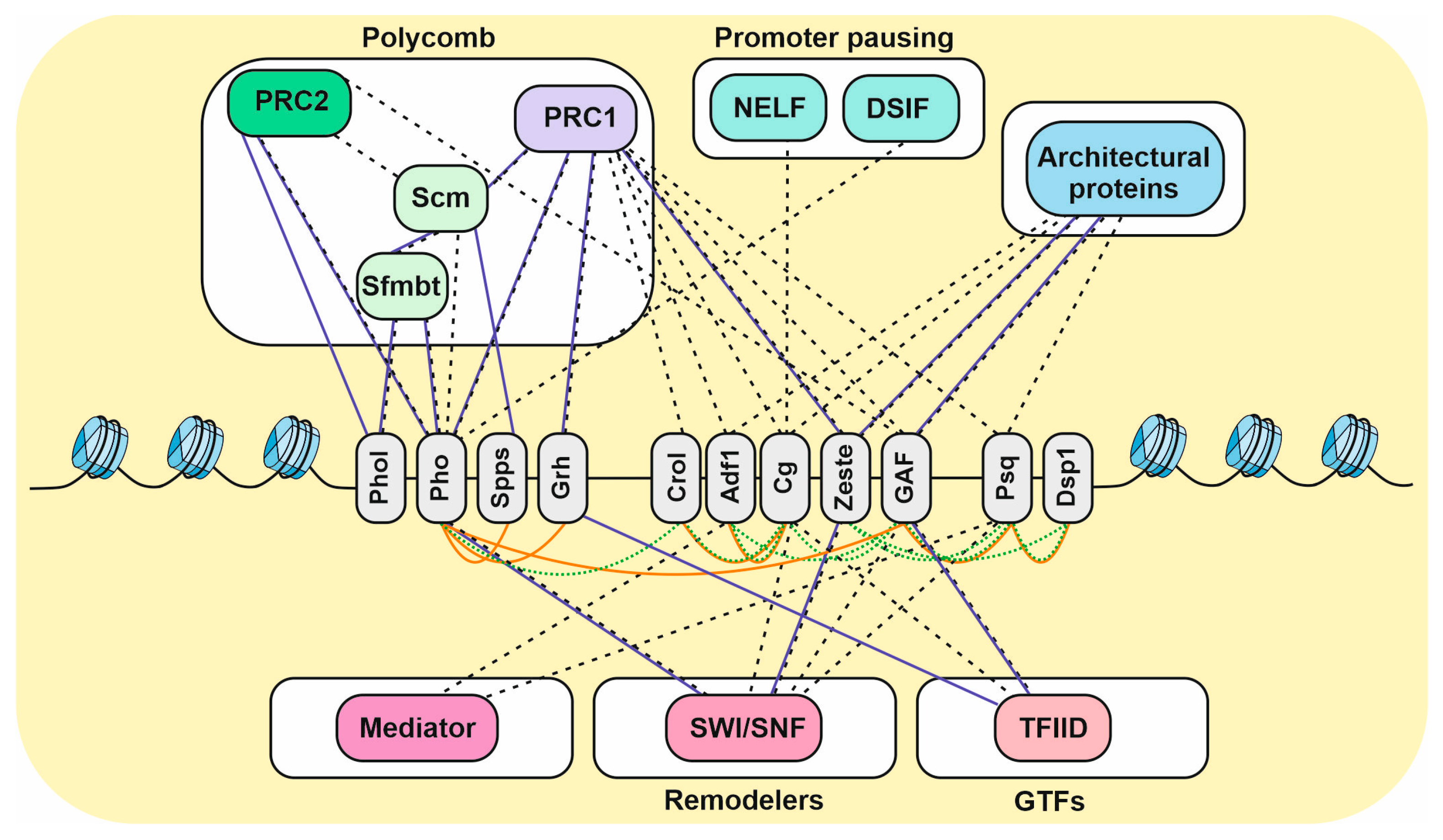 Ijms 24 11394 g003 Ijms 24 11394 g003