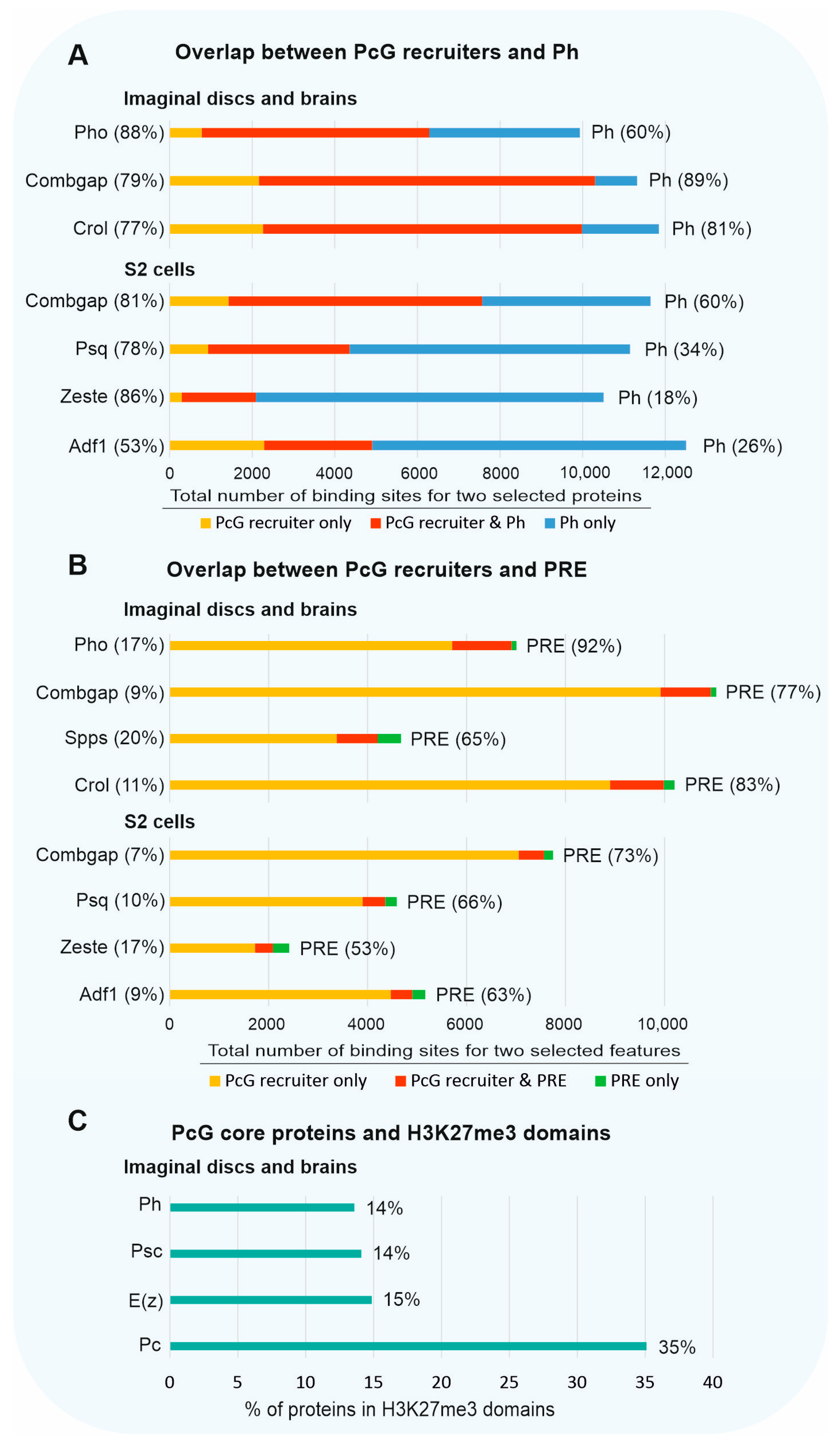 Ijms 24 11394 g004 Ijms 24 11394 g004