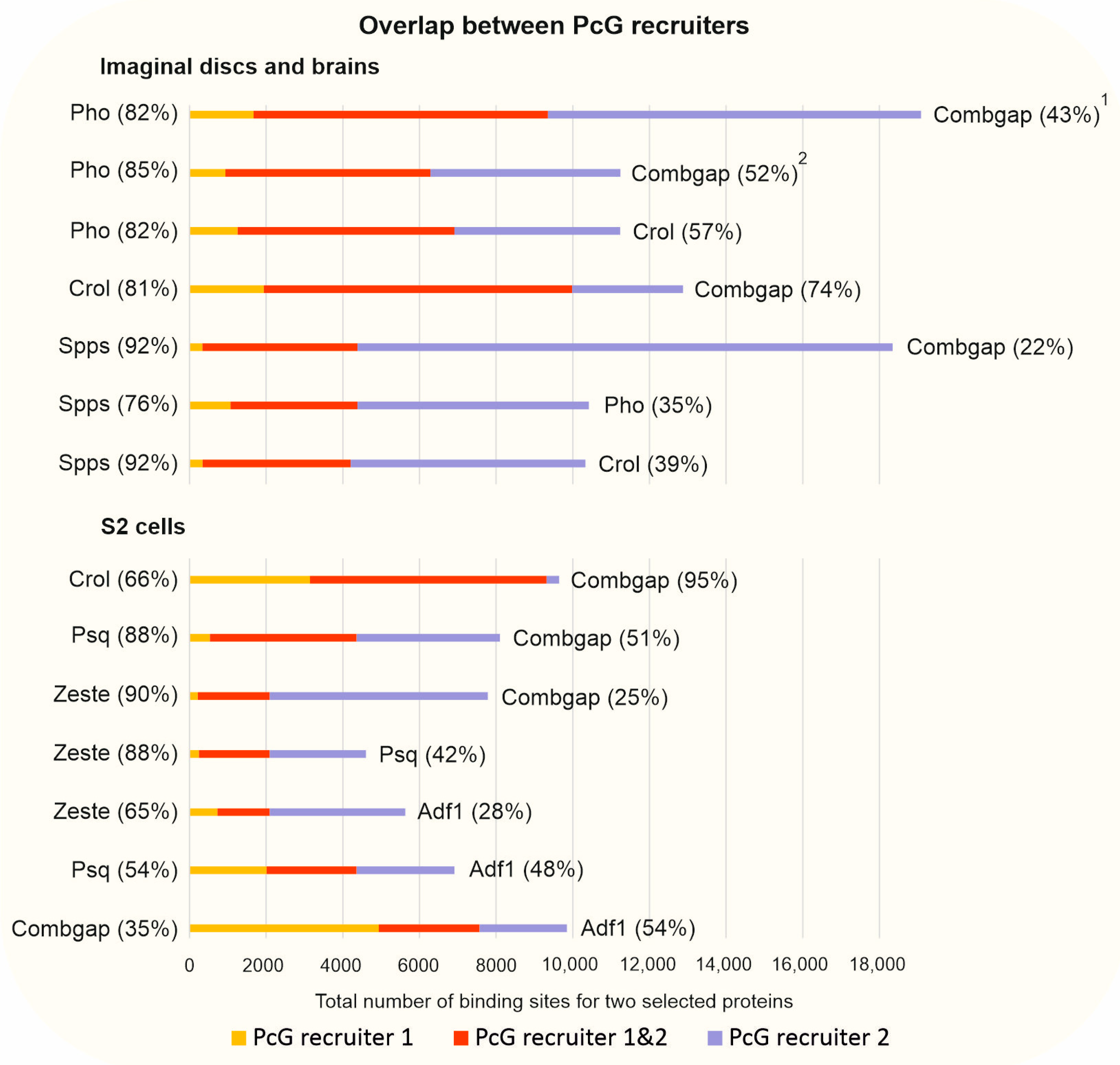 Ijms 24 11394 g005 Ijms 24 11394 g005