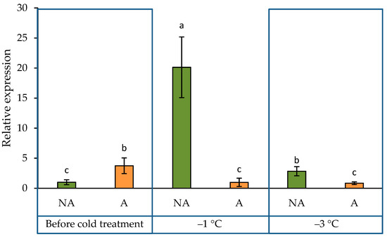専用　Lサイズ Identification of eight genes associated with recurrent