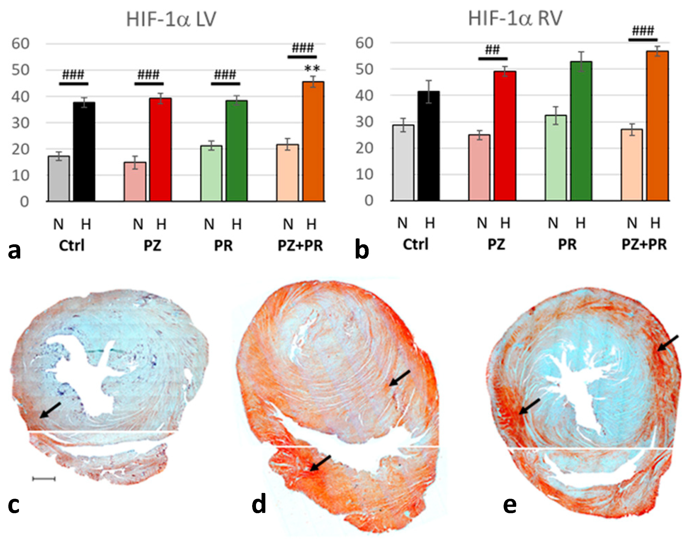 Ijms 24 11417 g002 Ijms 24 11417 g002