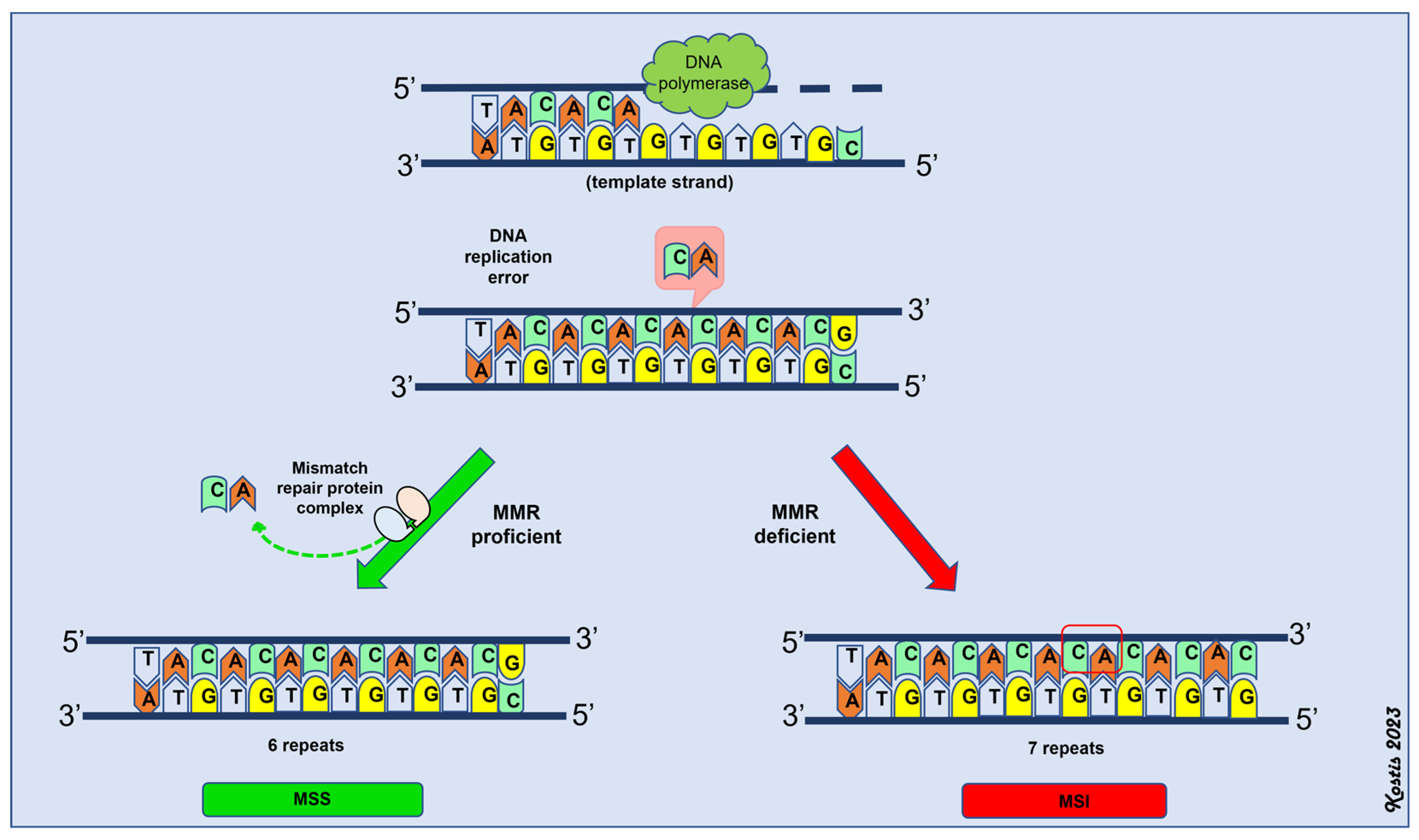 Ijms 24 11418 g002 Ijms 24 11418 g002