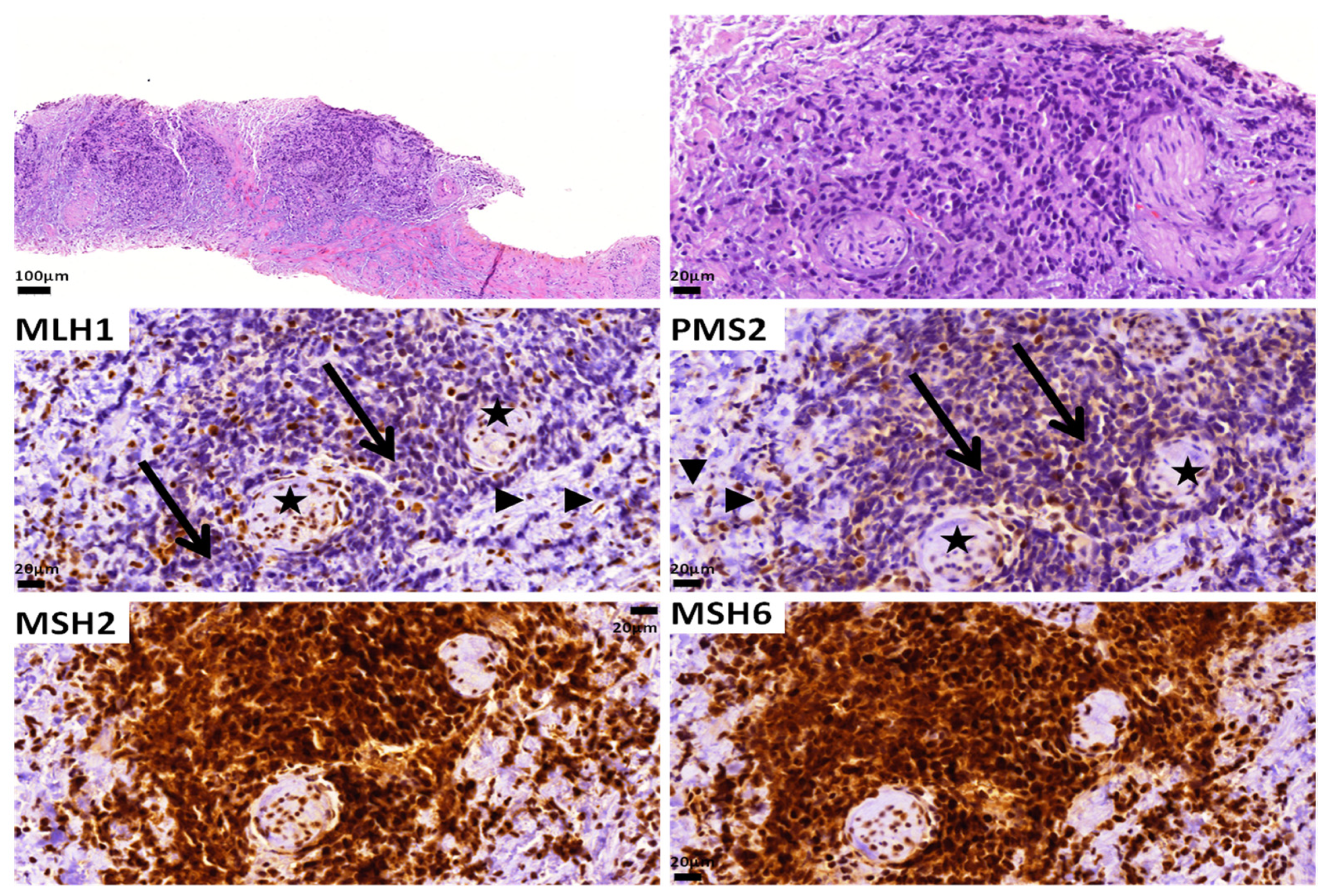 Ijms 24 11418 g003 Ijms 24 11418 g003