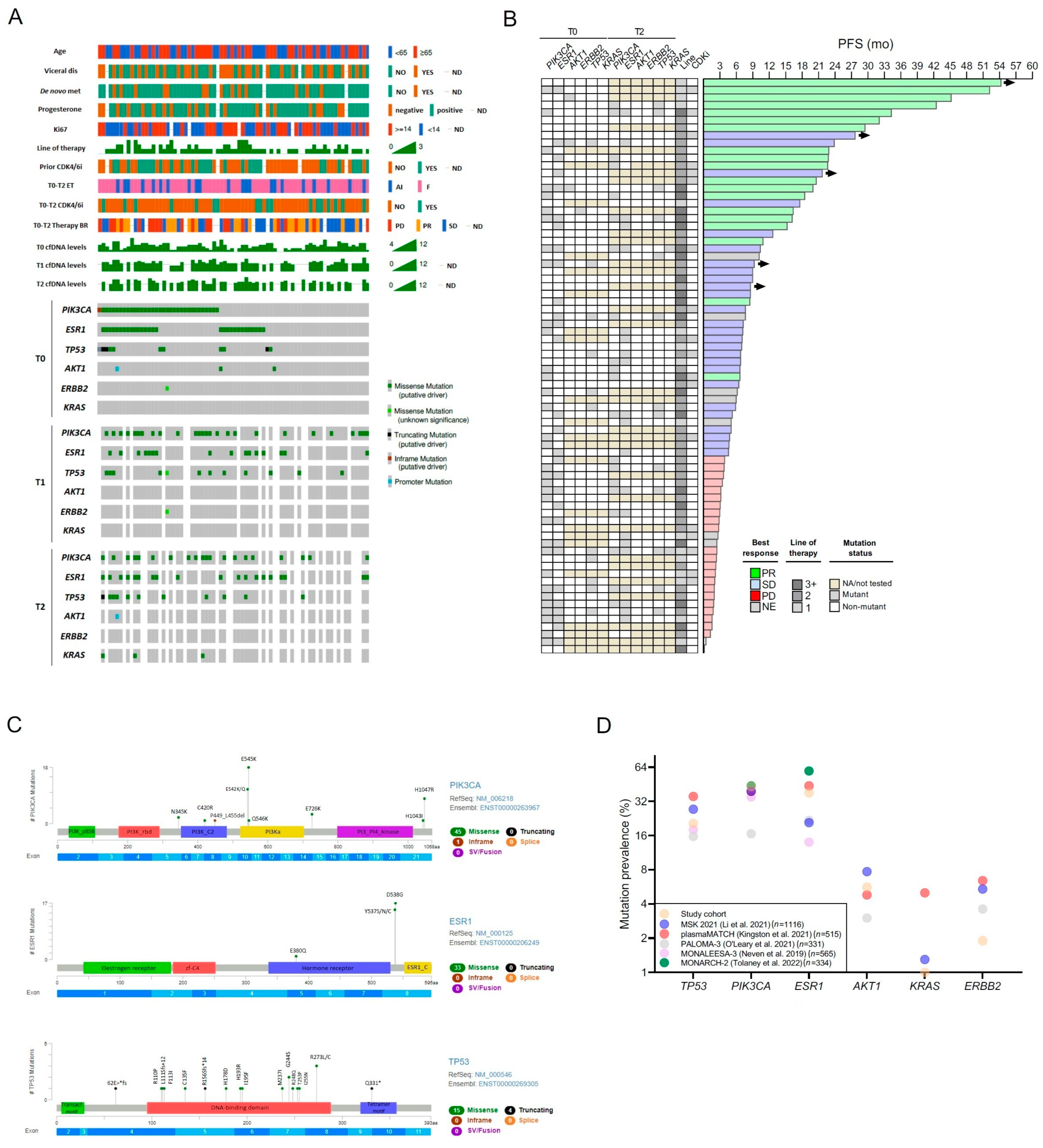 Ijms 24 11419 g001 Ijms 24 11419 g001