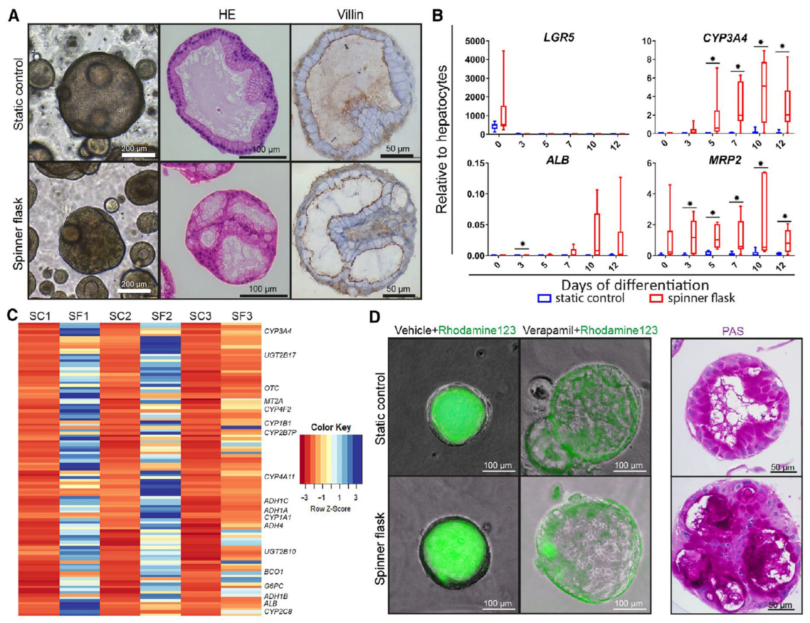 Ijms 24 11427 g002 Ijms 24 11427 g002