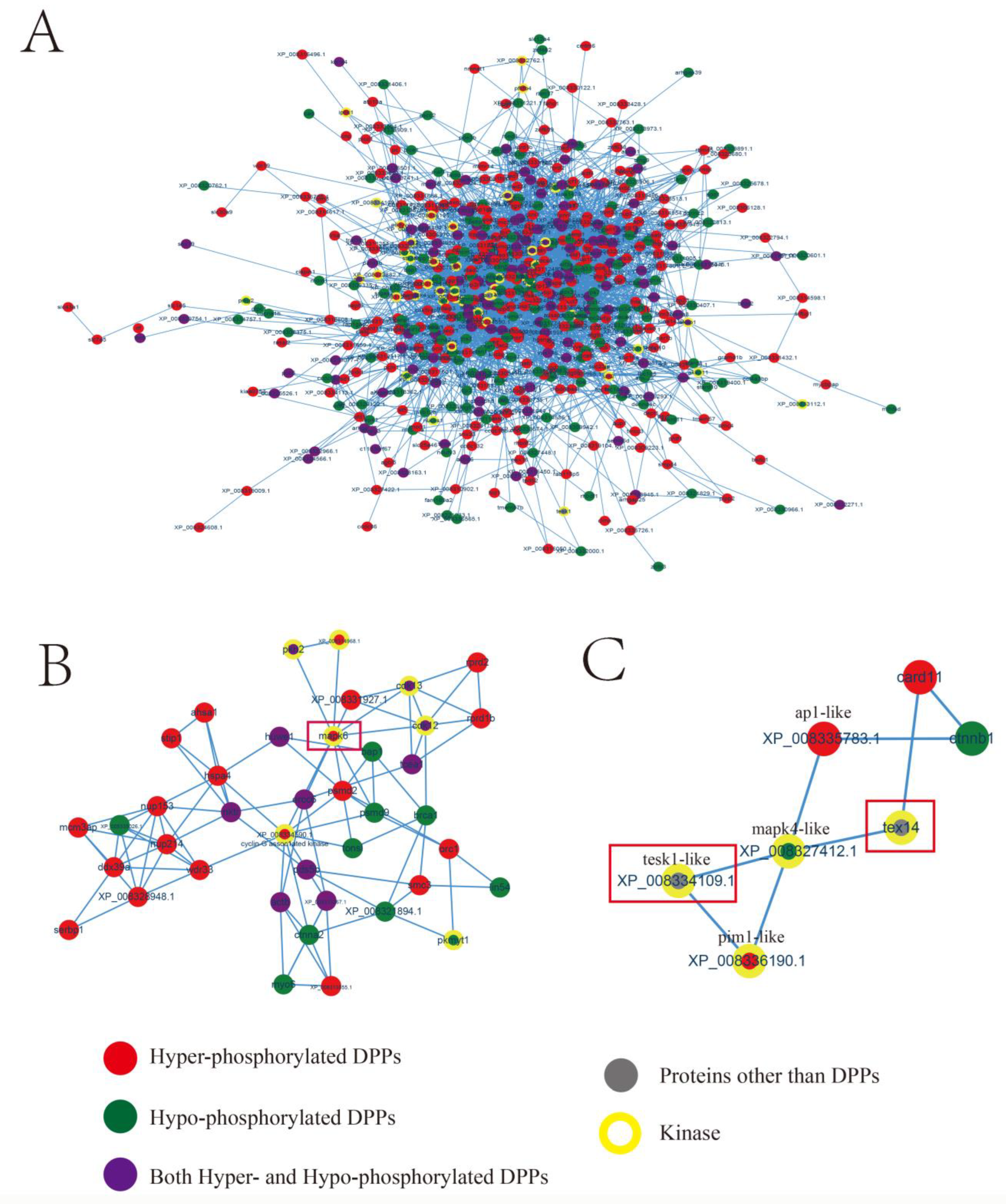 Ijms 24 11430 g005 Ijms 24 11430 g005