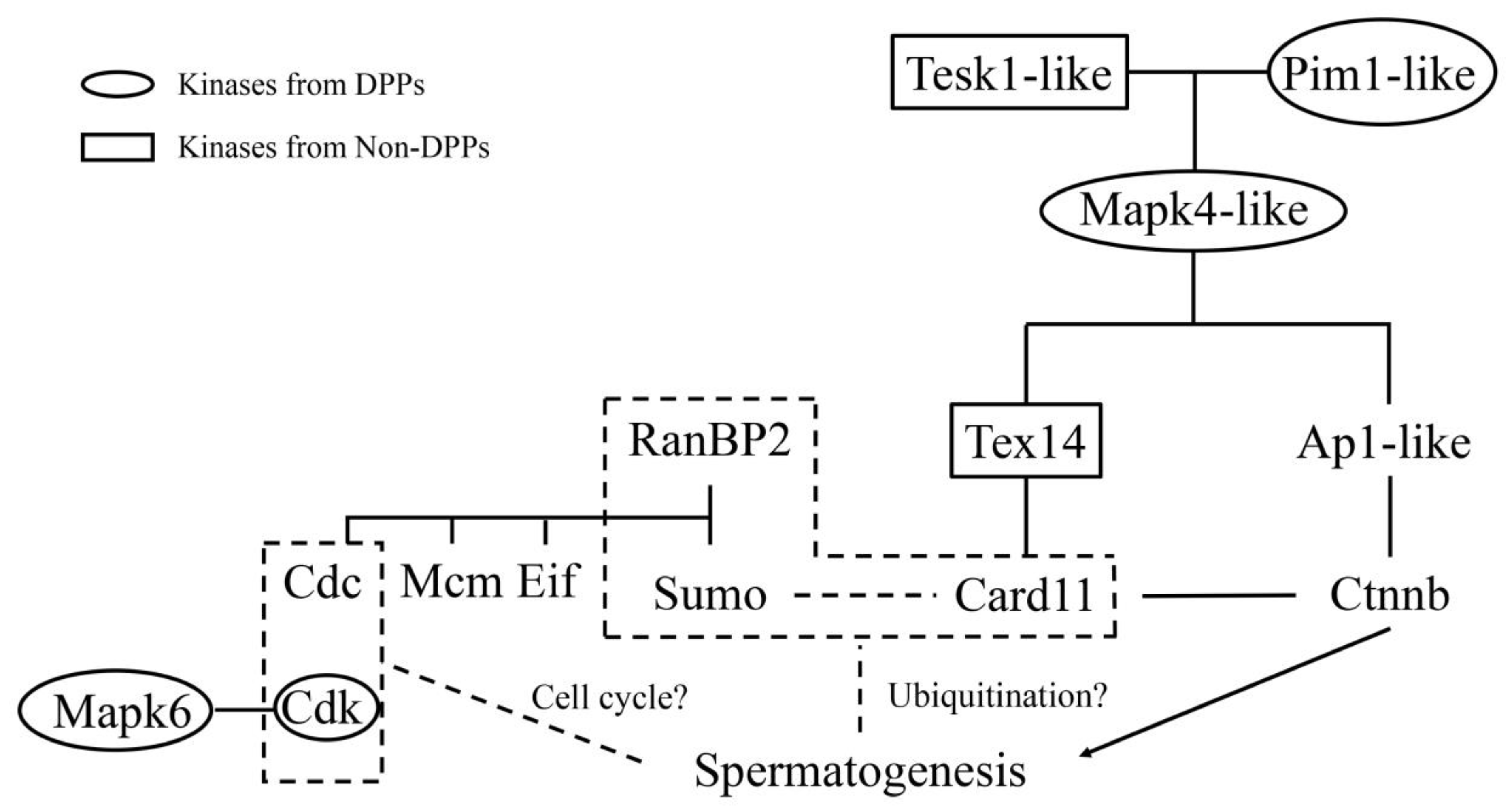 Ijms 24 11430 g006 Ijms 24 11430 g006
