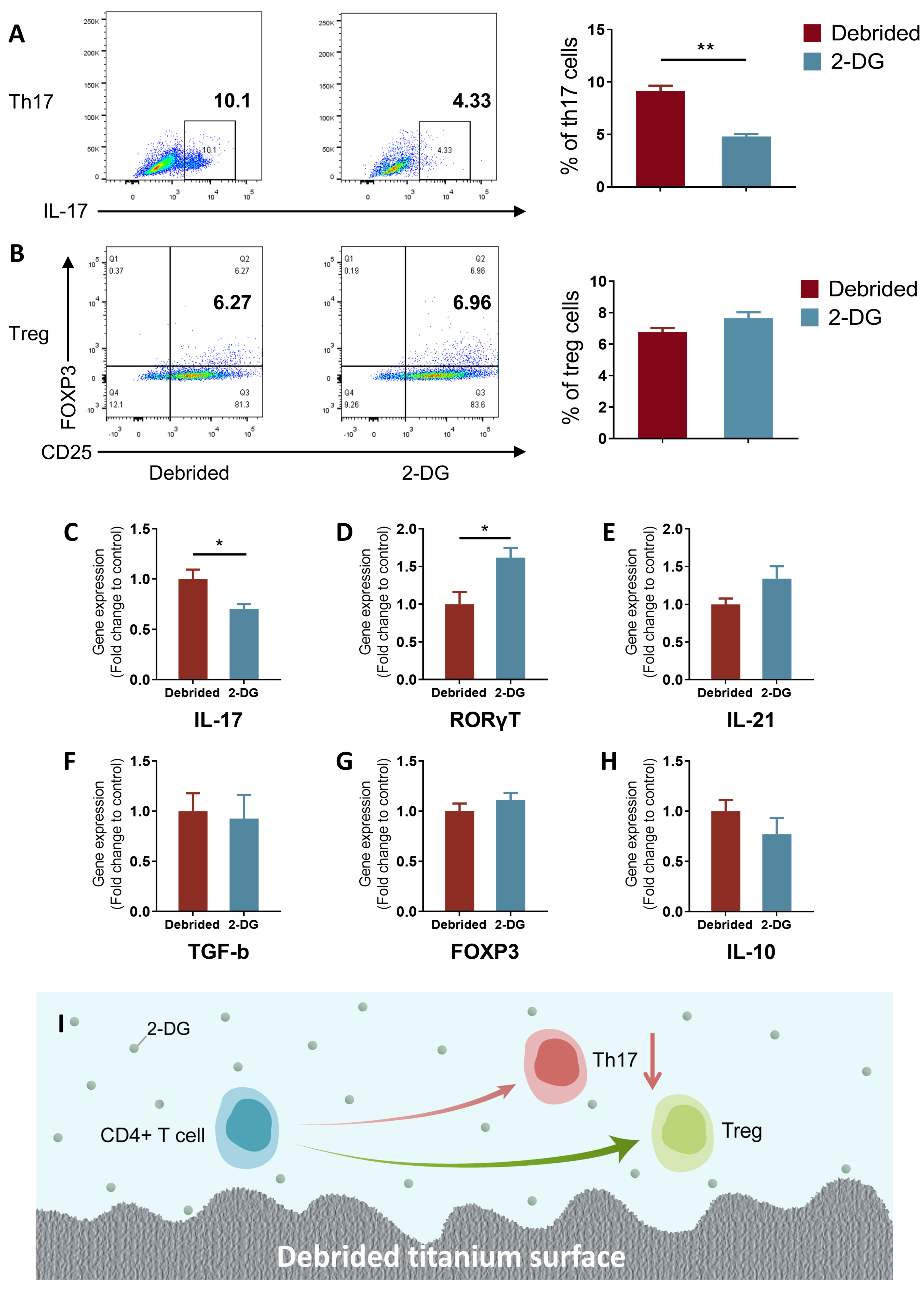 Ijms 24 11431 g004 Ijms 24 11431 g004