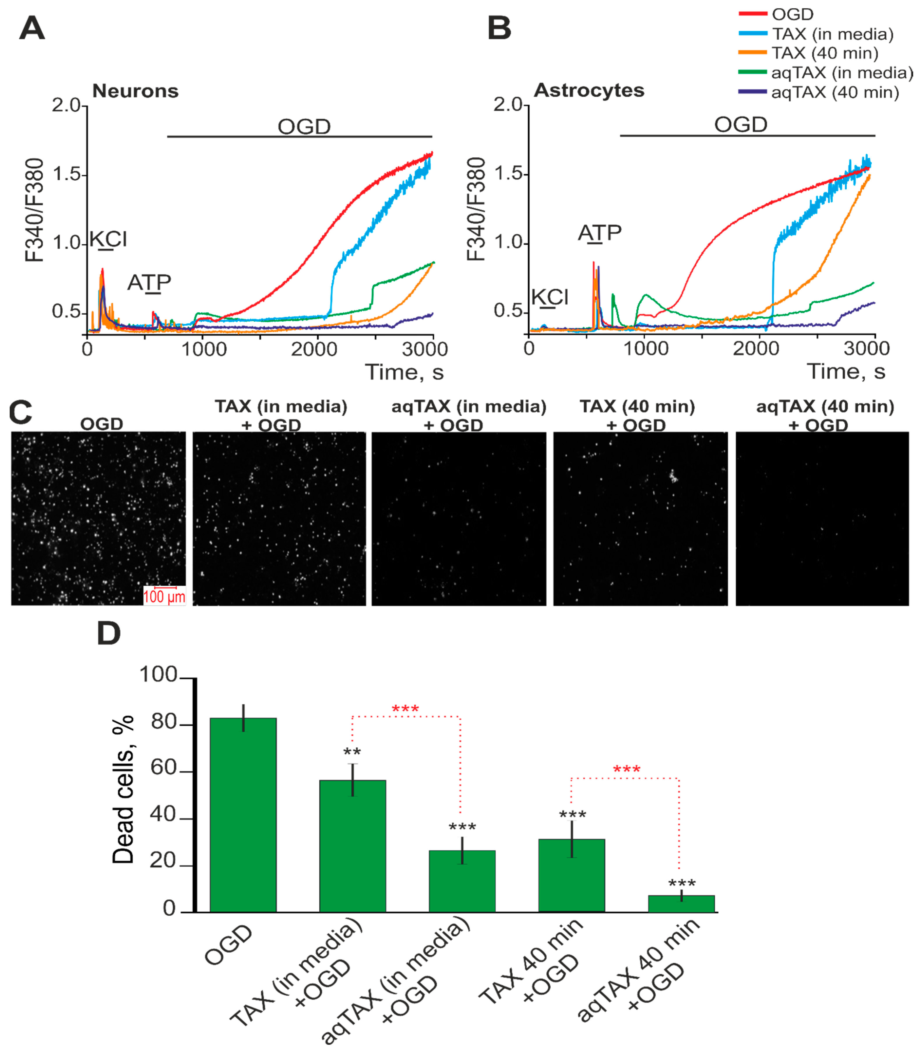 Ijms 24 11436 g004 Ijms 24 11436 g004