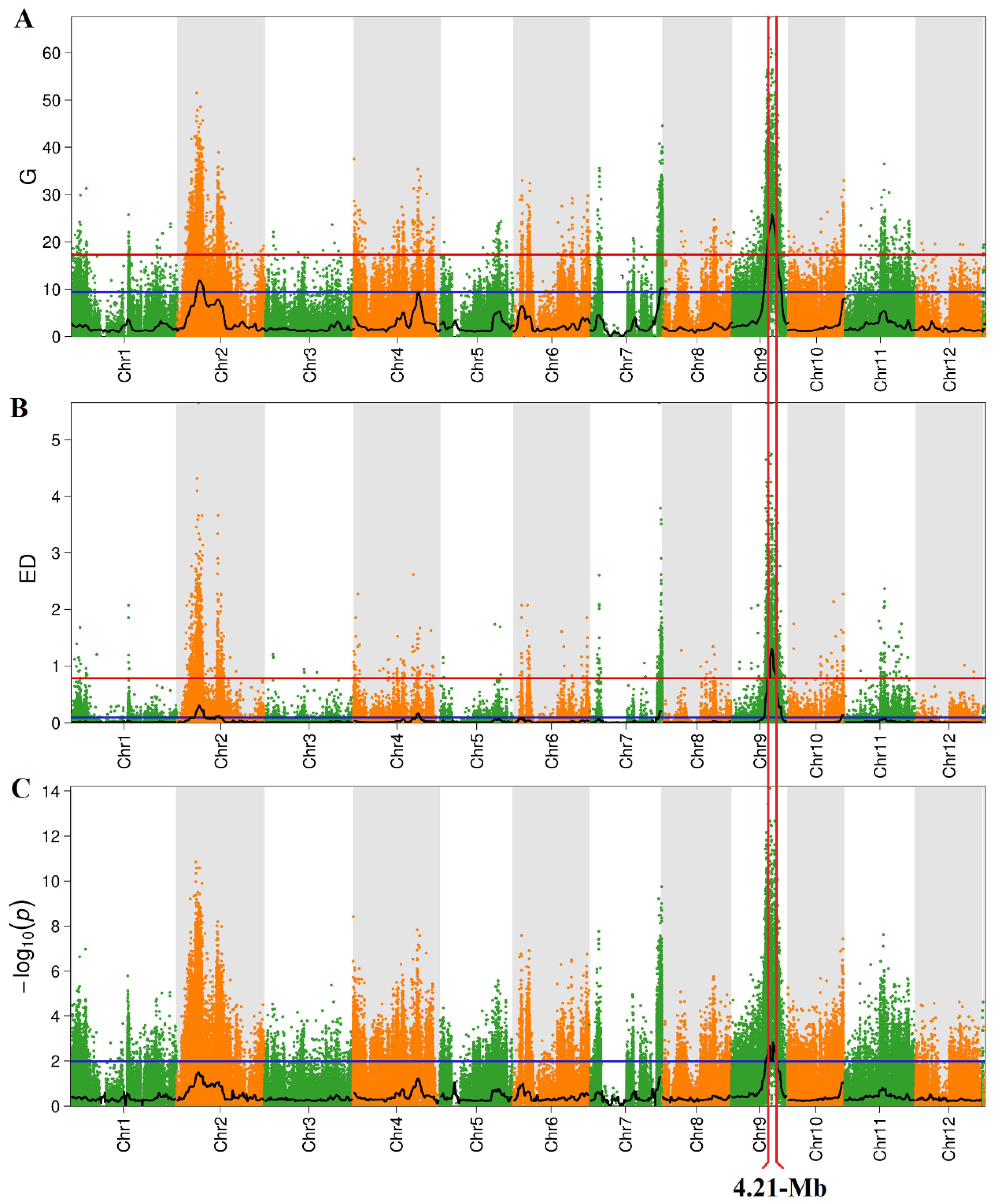 Ijms 24 11447 g003 Ijms 24 11447 g003