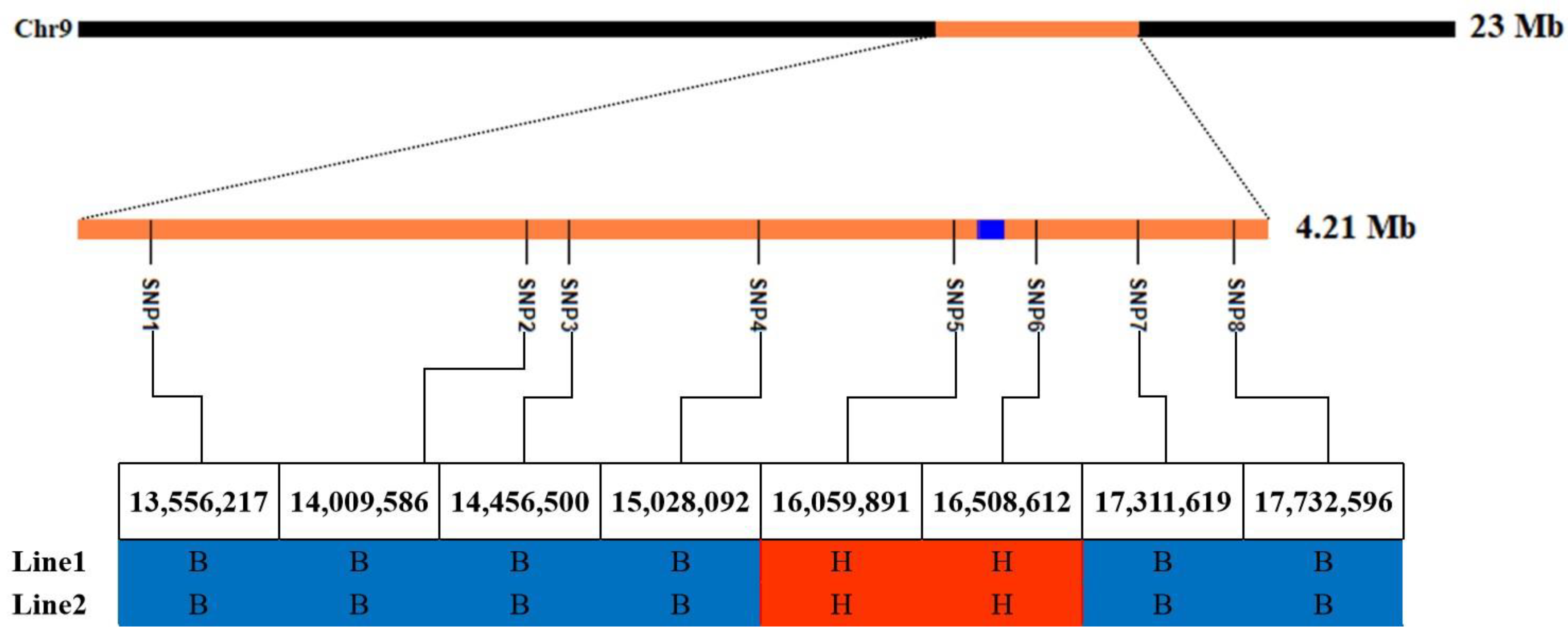 Ijms 24 11447 g005 Ijms 24 11447 g005