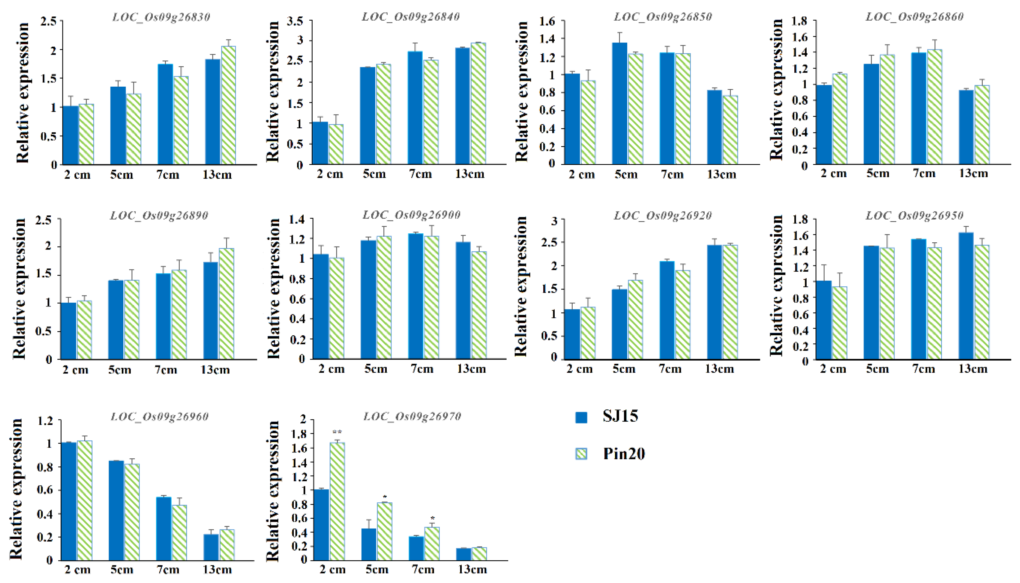 Ijms 24 11447 g007 Ijms 24 11447 g007