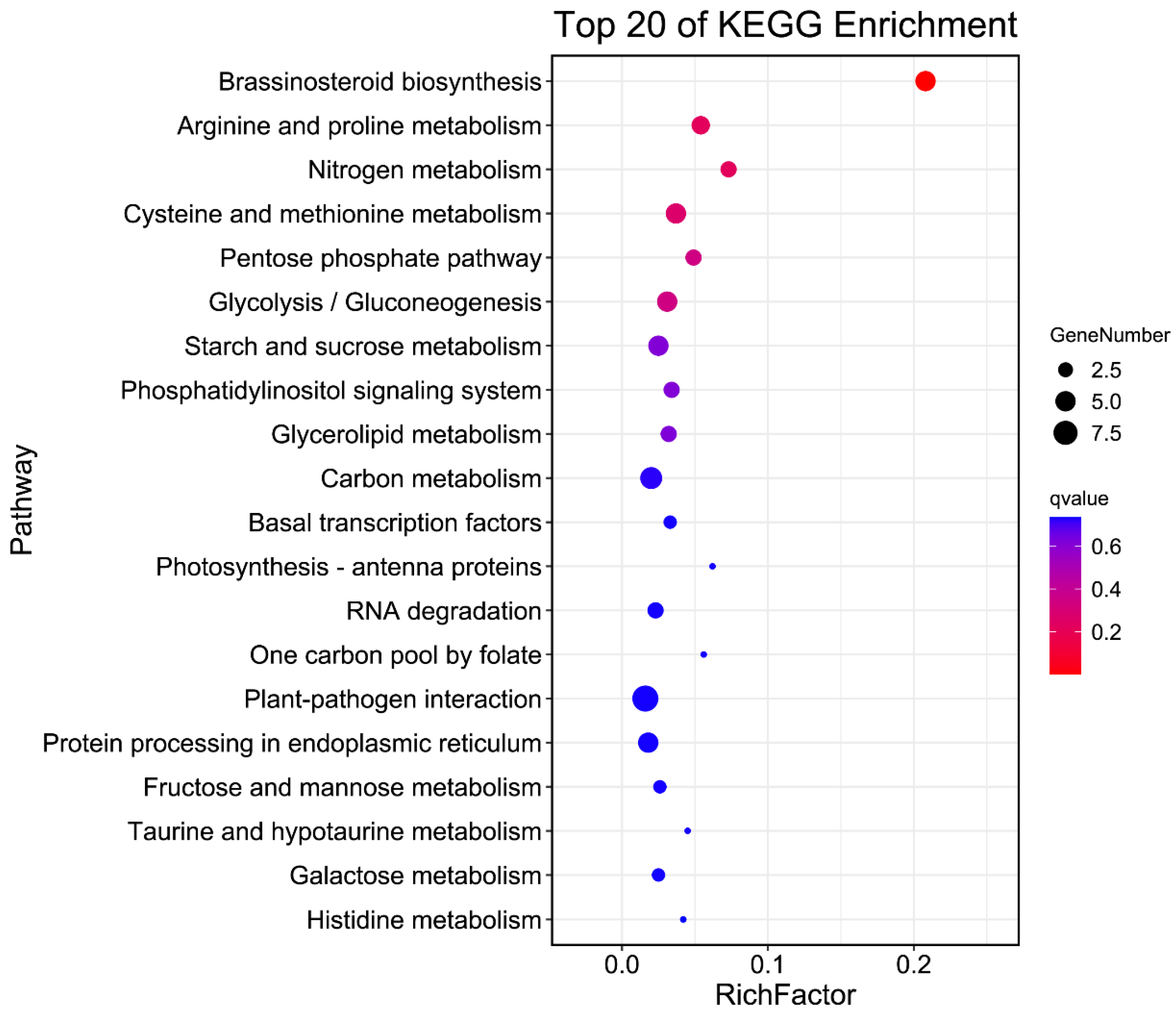 Ijms 24 11447 g008 Ijms 24 11447 g008