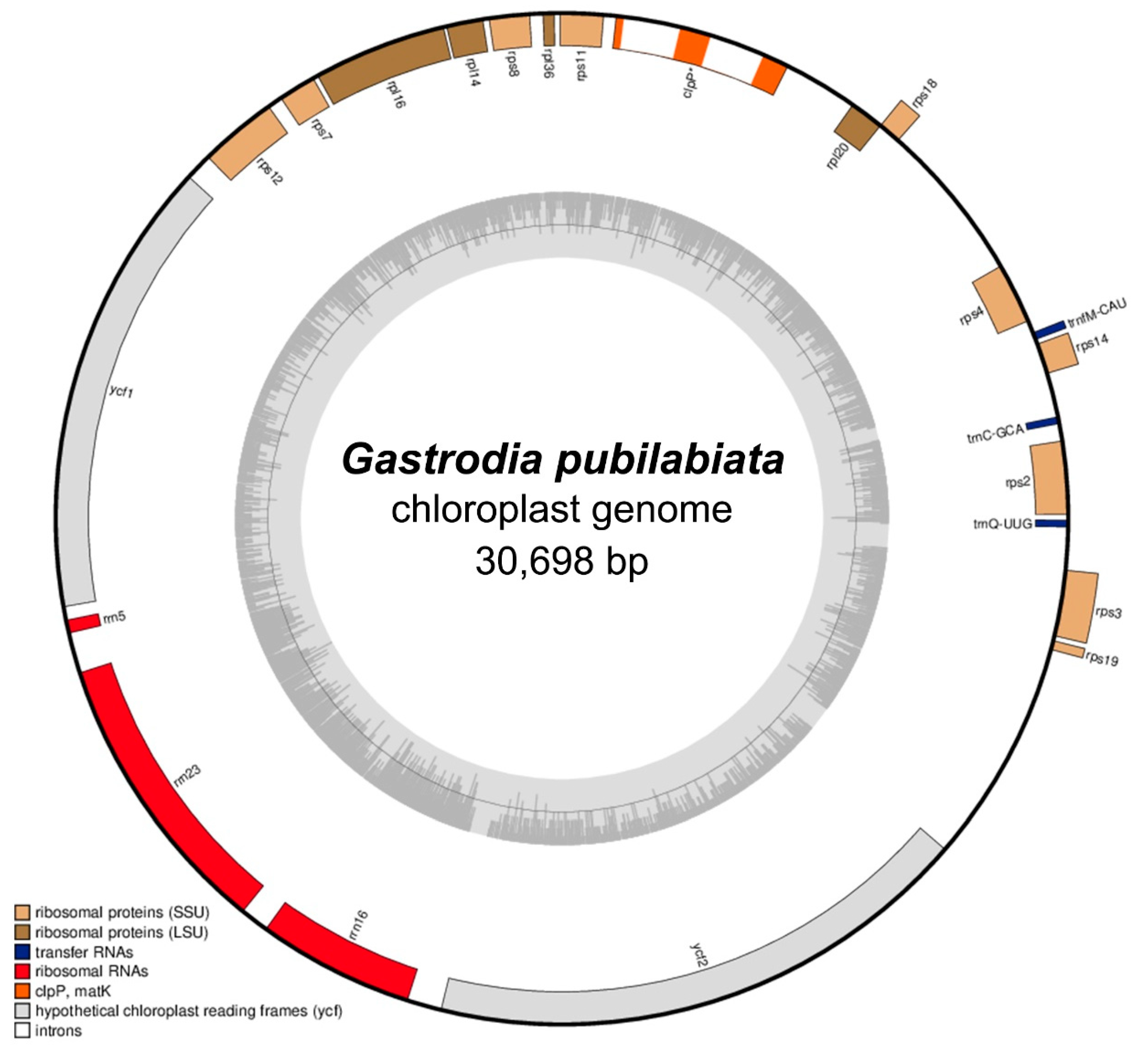 Ijms 24 11448 g001 Ijms 24 11448 g001
