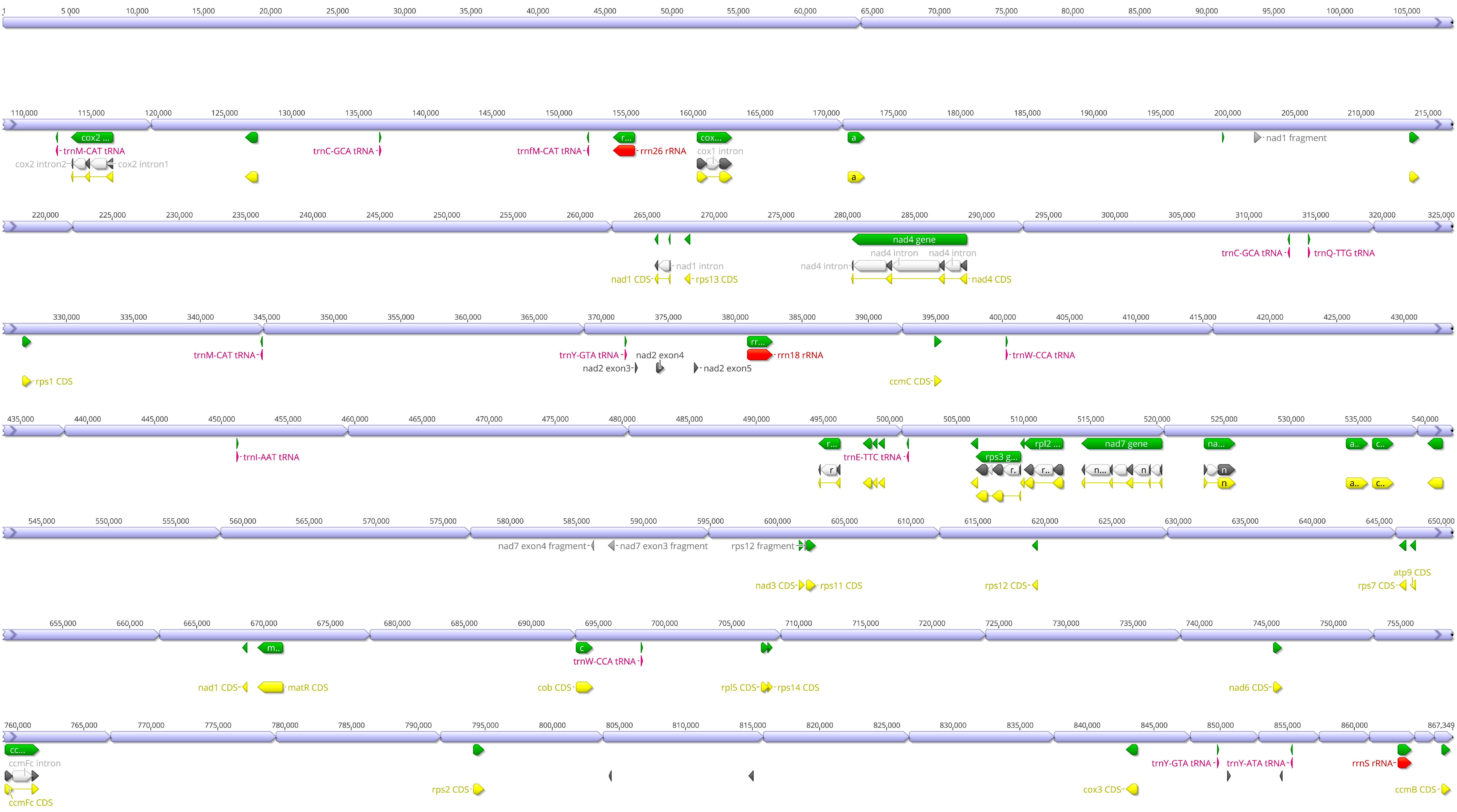 Ijms 24 11448 g002 Ijms 24 11448 g002