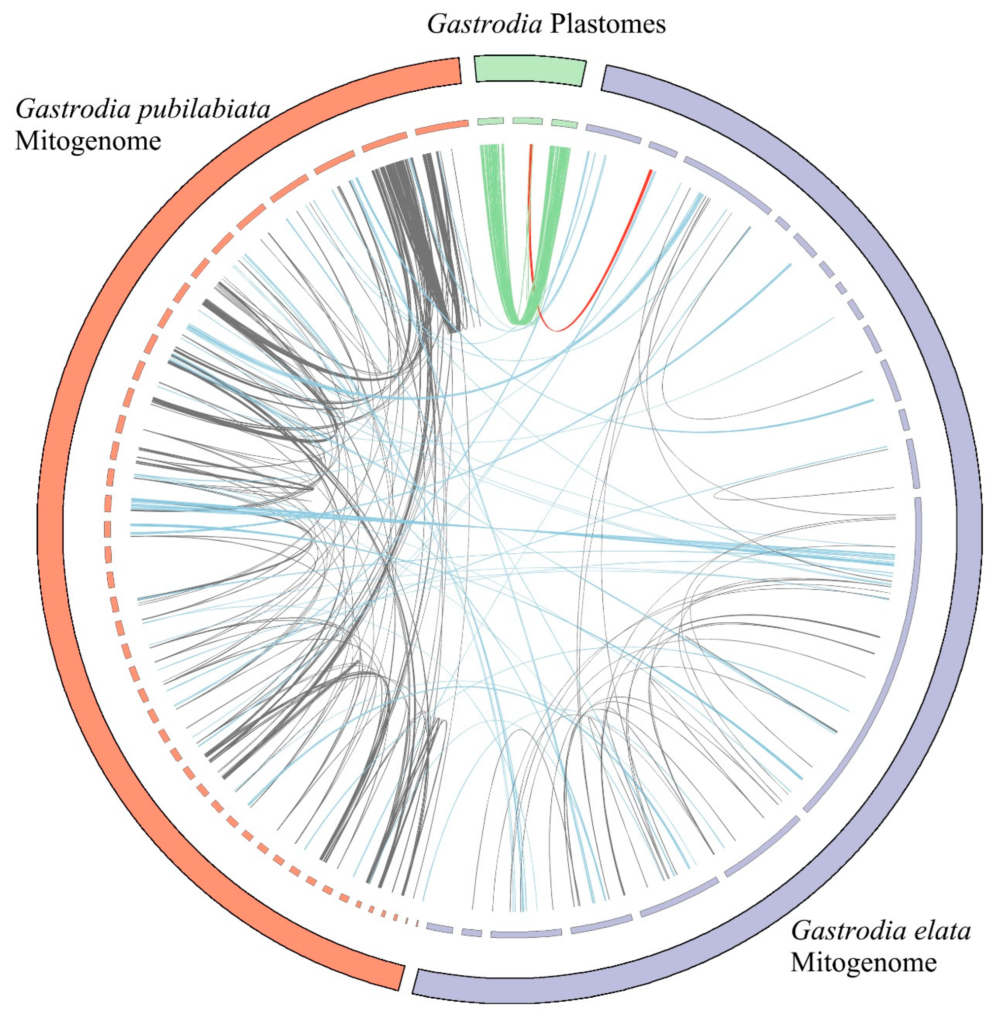 Ijms 24 11448 g003 Ijms 24 11448 g003