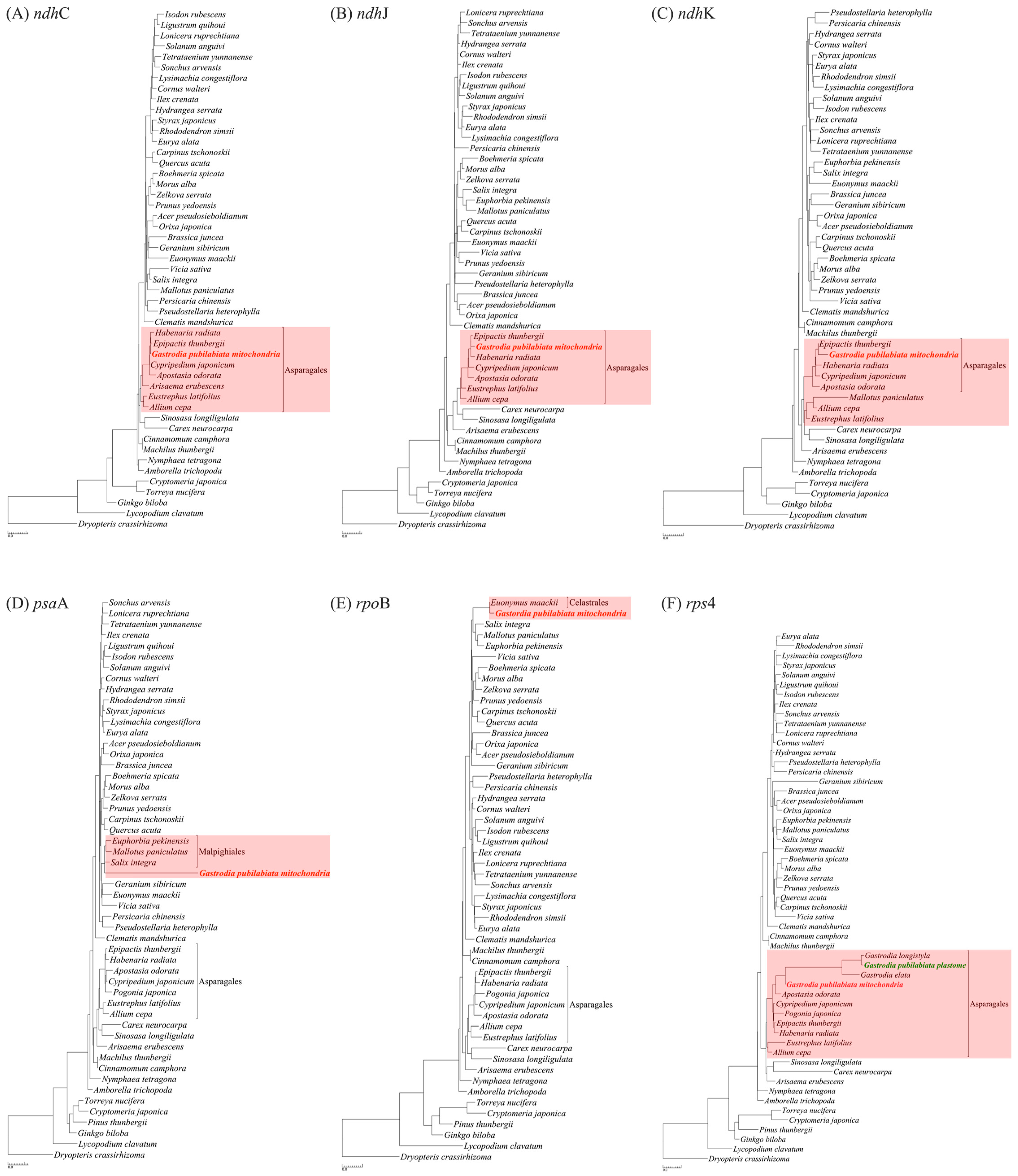 Ijms 24 11448 g004 Ijms 24 11448 g004