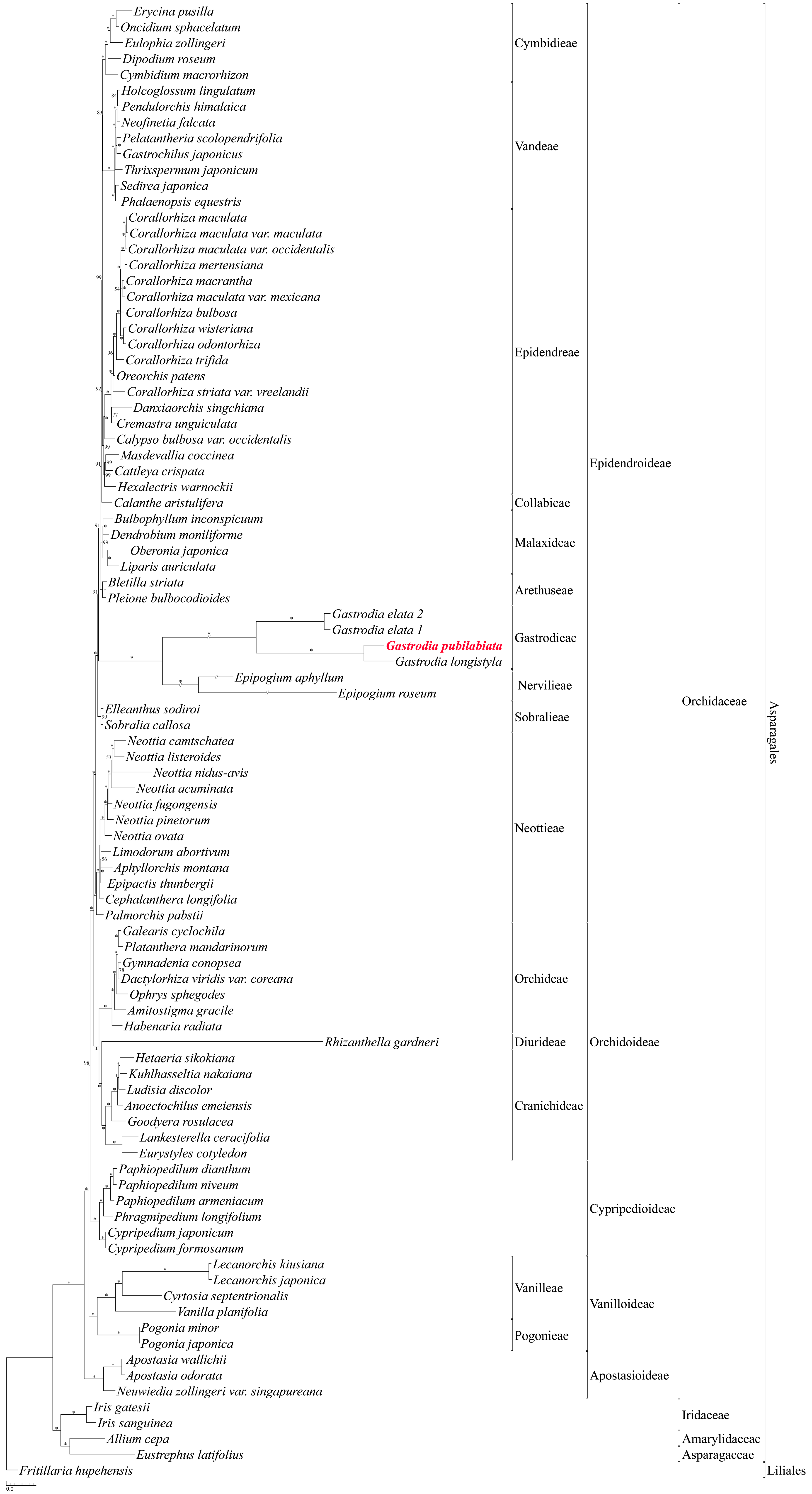 Ijms 24 11448 g005 Ijms 24 11448 g005
