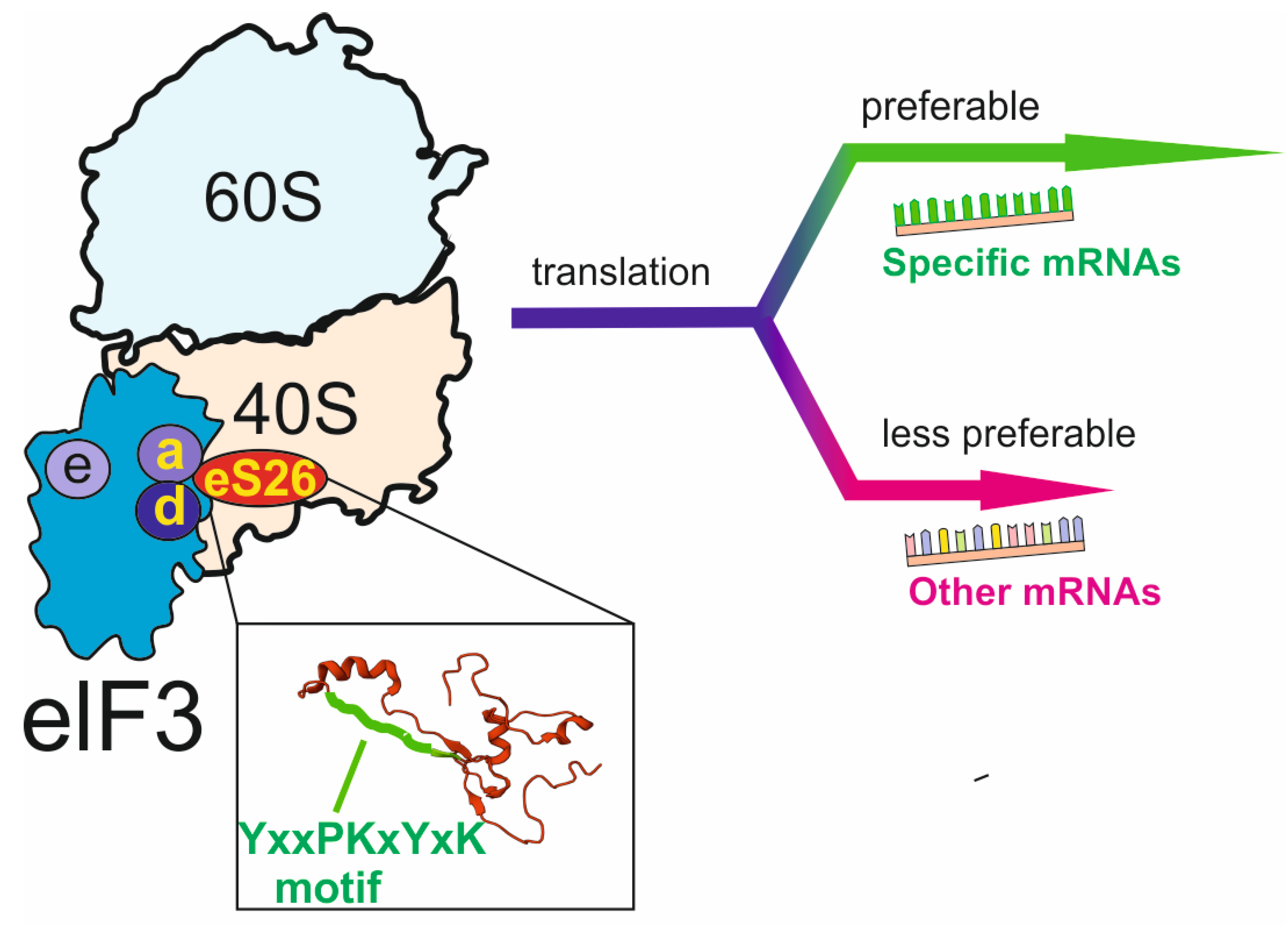 Ijms 24 11458 g004 Ijms 24 11458 g004