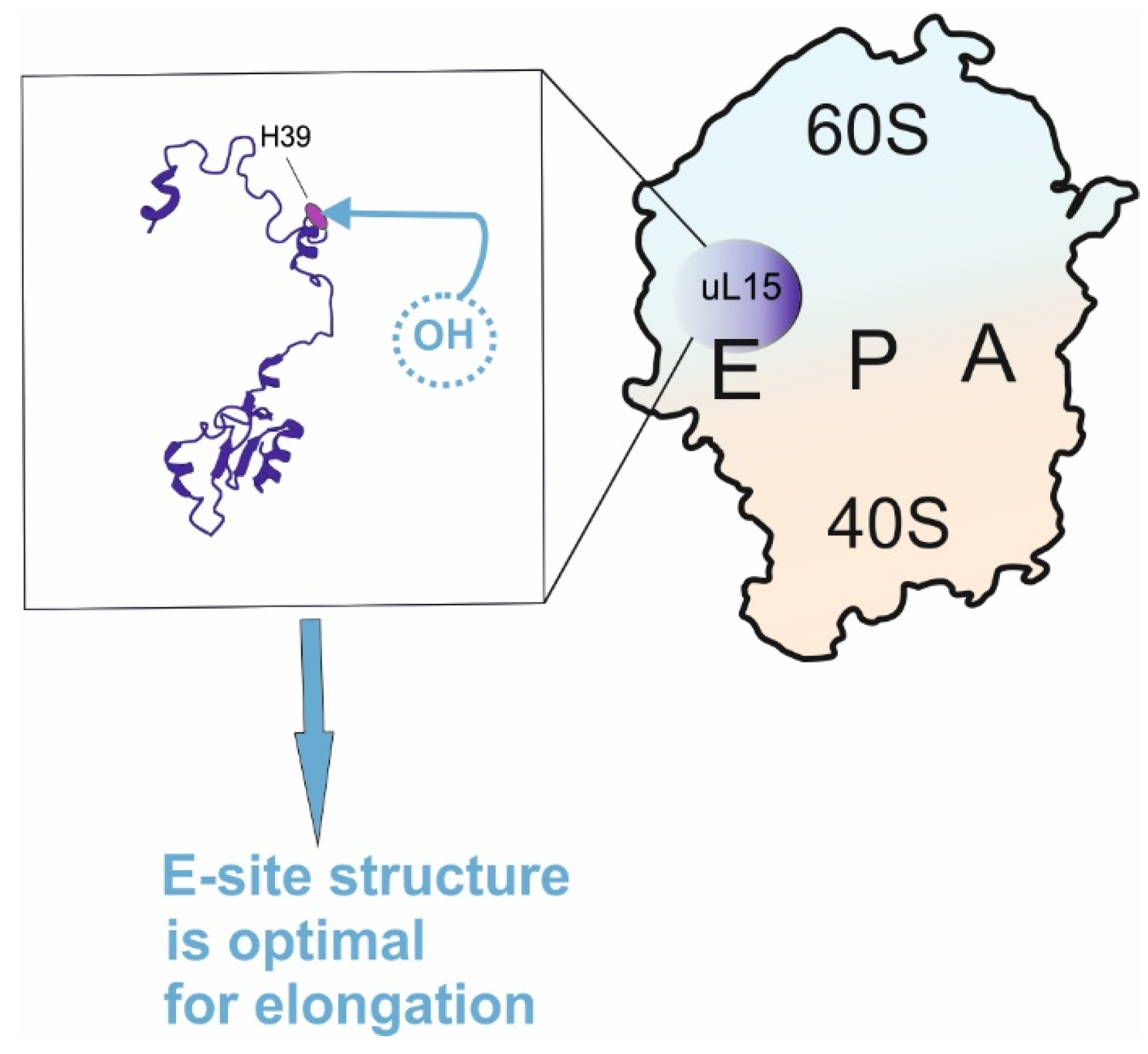 Ijms 24 11458 g006 Ijms 24 11458 g006
