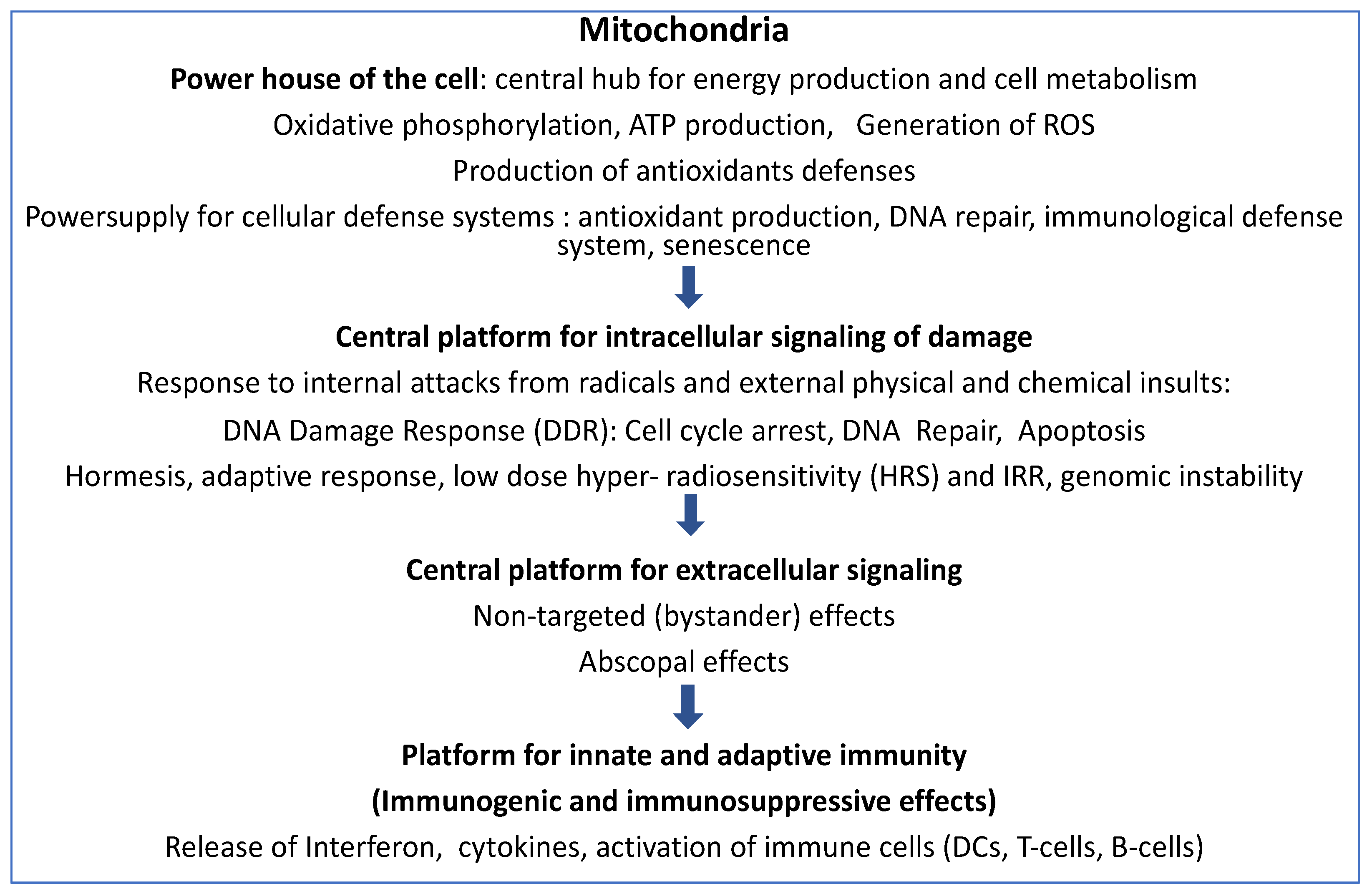 Ijms 24 11460 g001 Ijms 24 11460 g001
