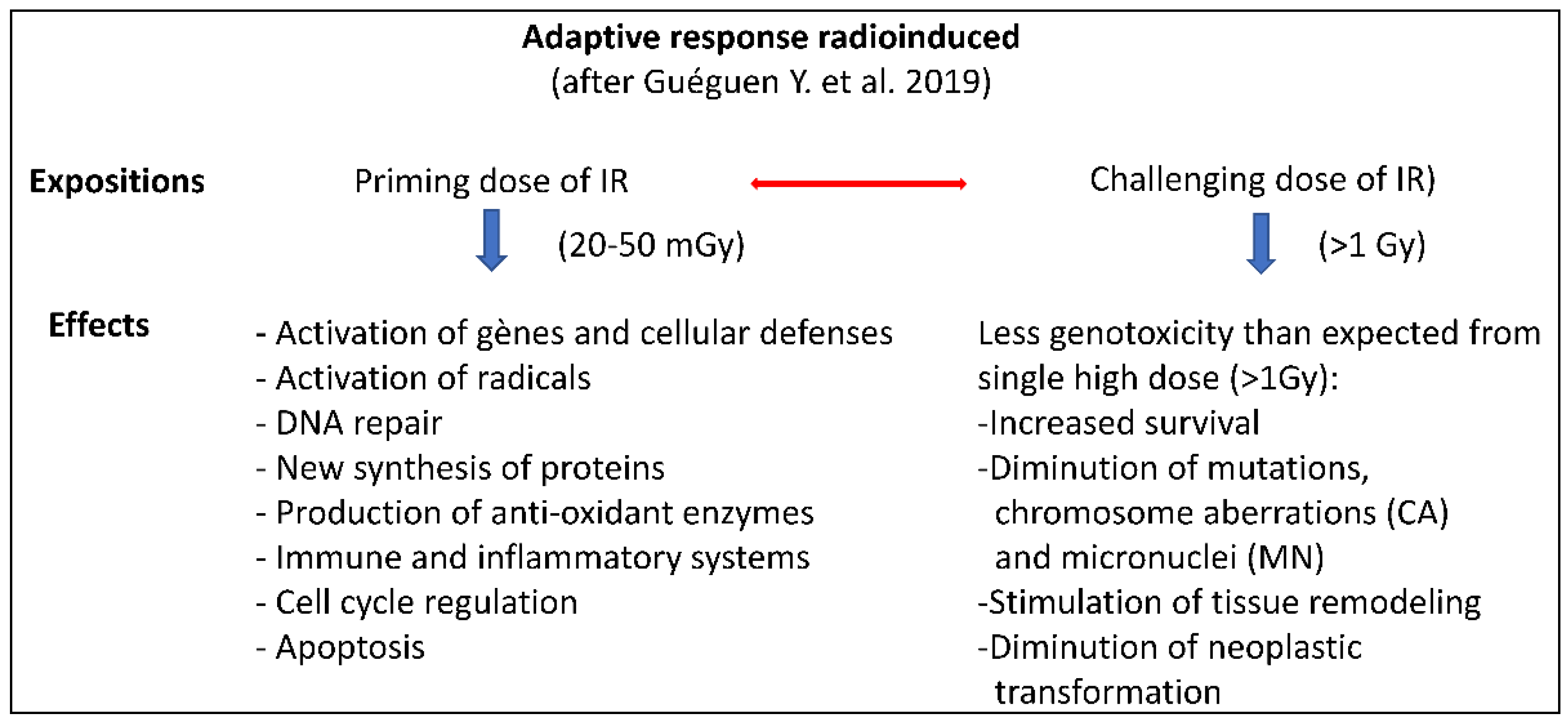 Ijms 24 11460 g003 Ijms 24 11460 g003