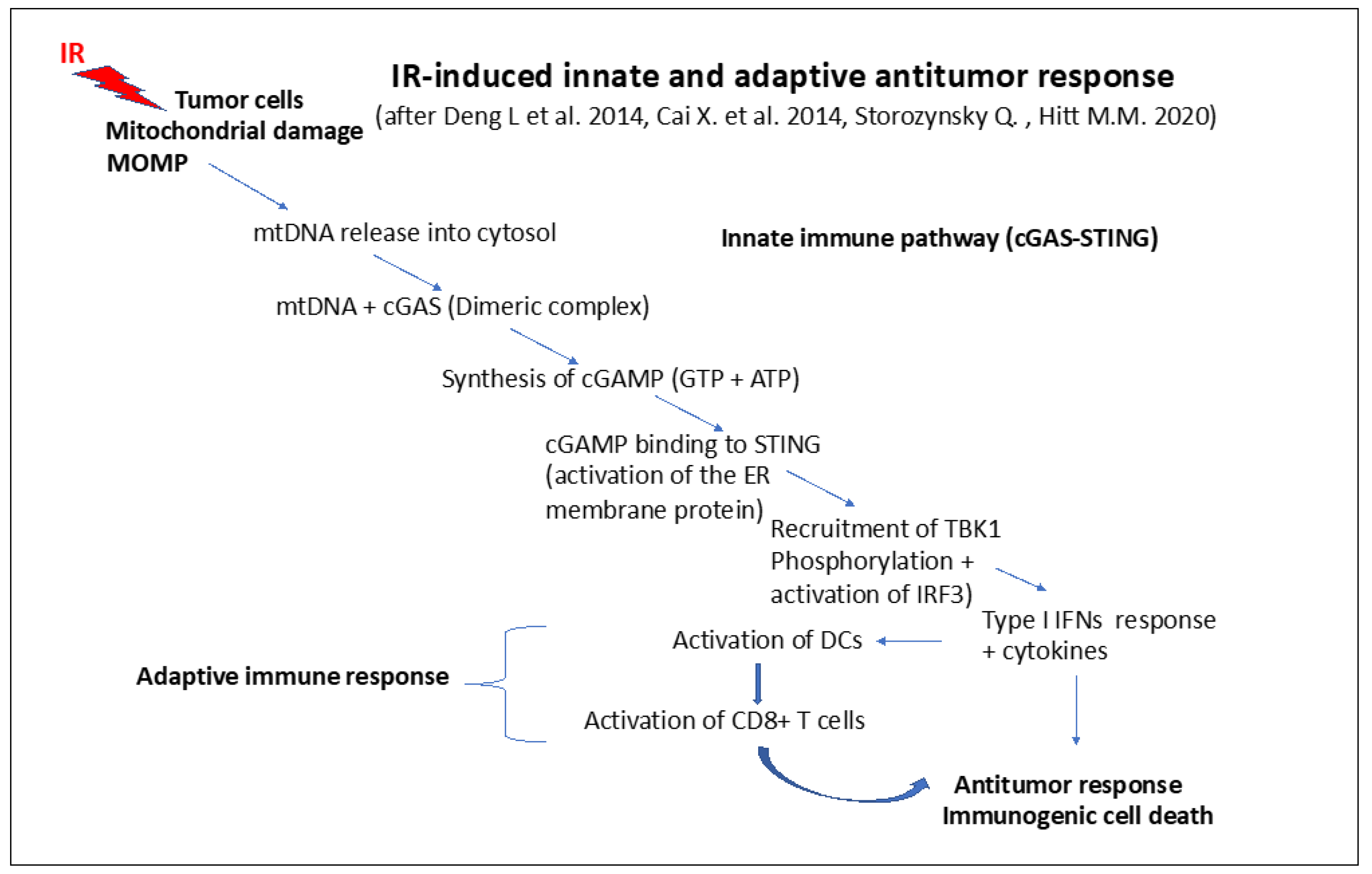 Ijms 24 11460 g006 Ijms 24 11460 g006