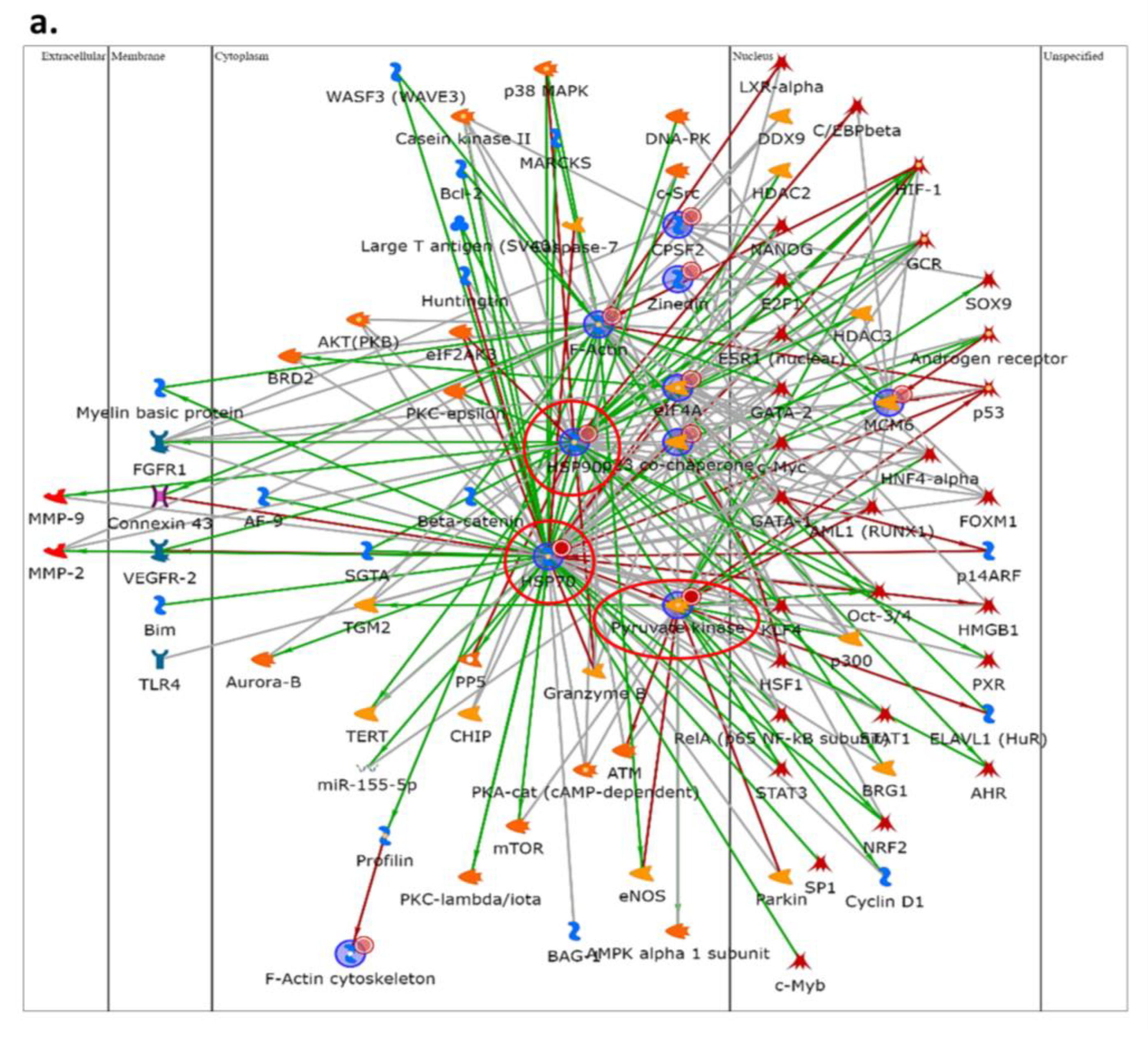 Ijms 24 11463 g002a Ijms 24 11463 g002a