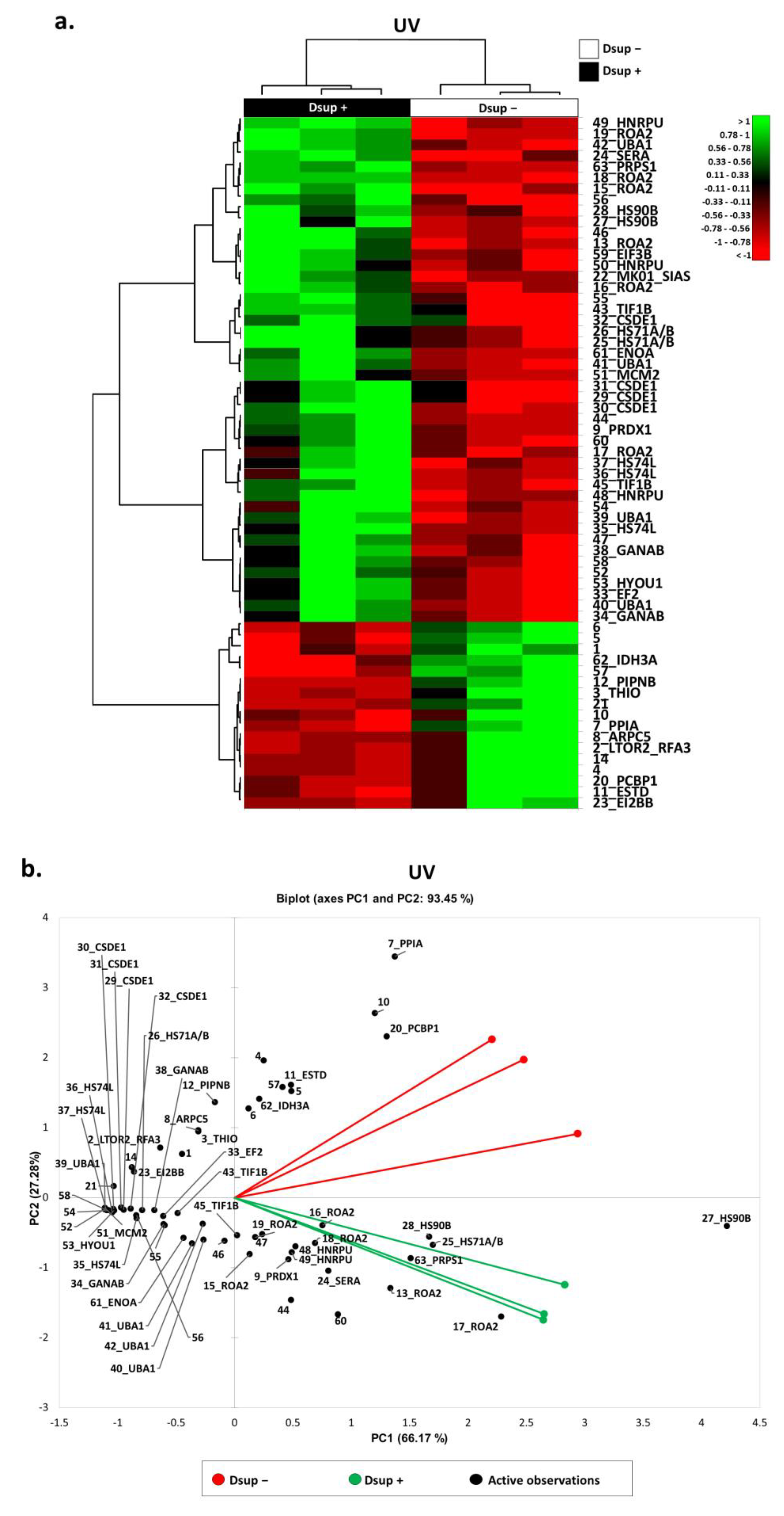 Ijms 24 11463 g004 Ijms 24 11463 g004