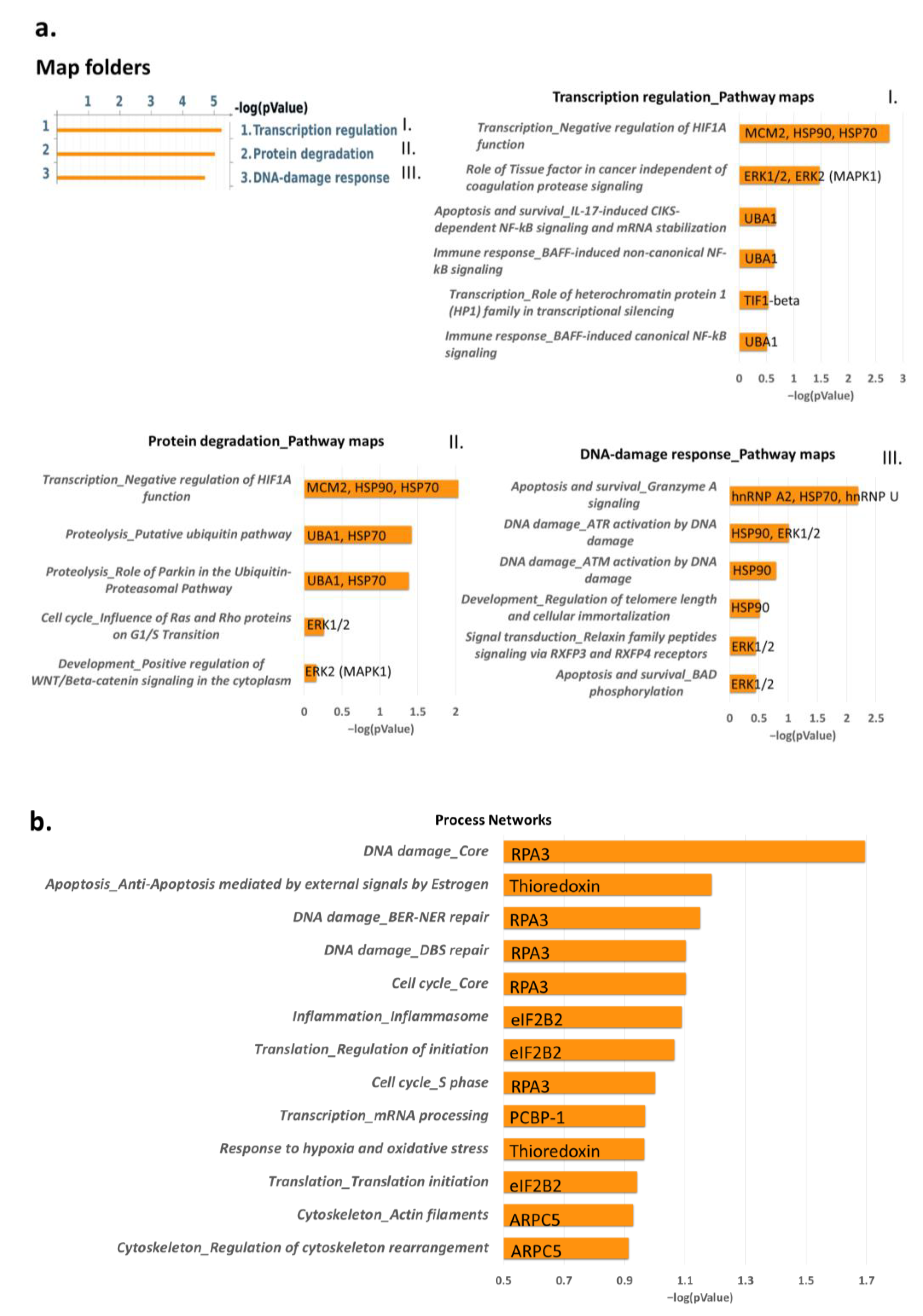 Ijms 24 11463 g005 Ijms 24 11463 g005