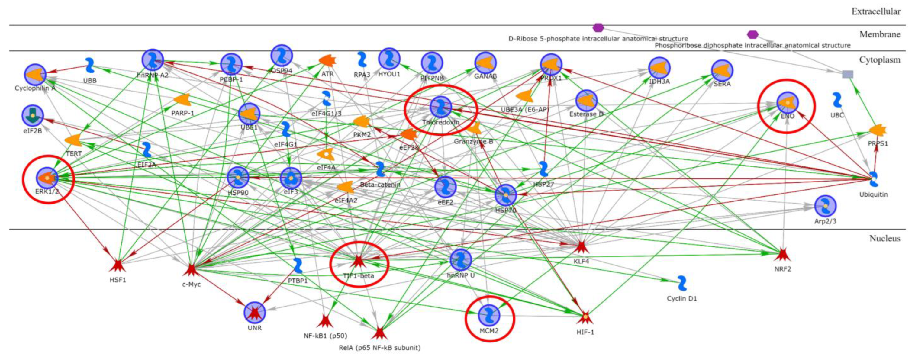 Ijms 24 11463 g006 Ijms 24 11463 g006