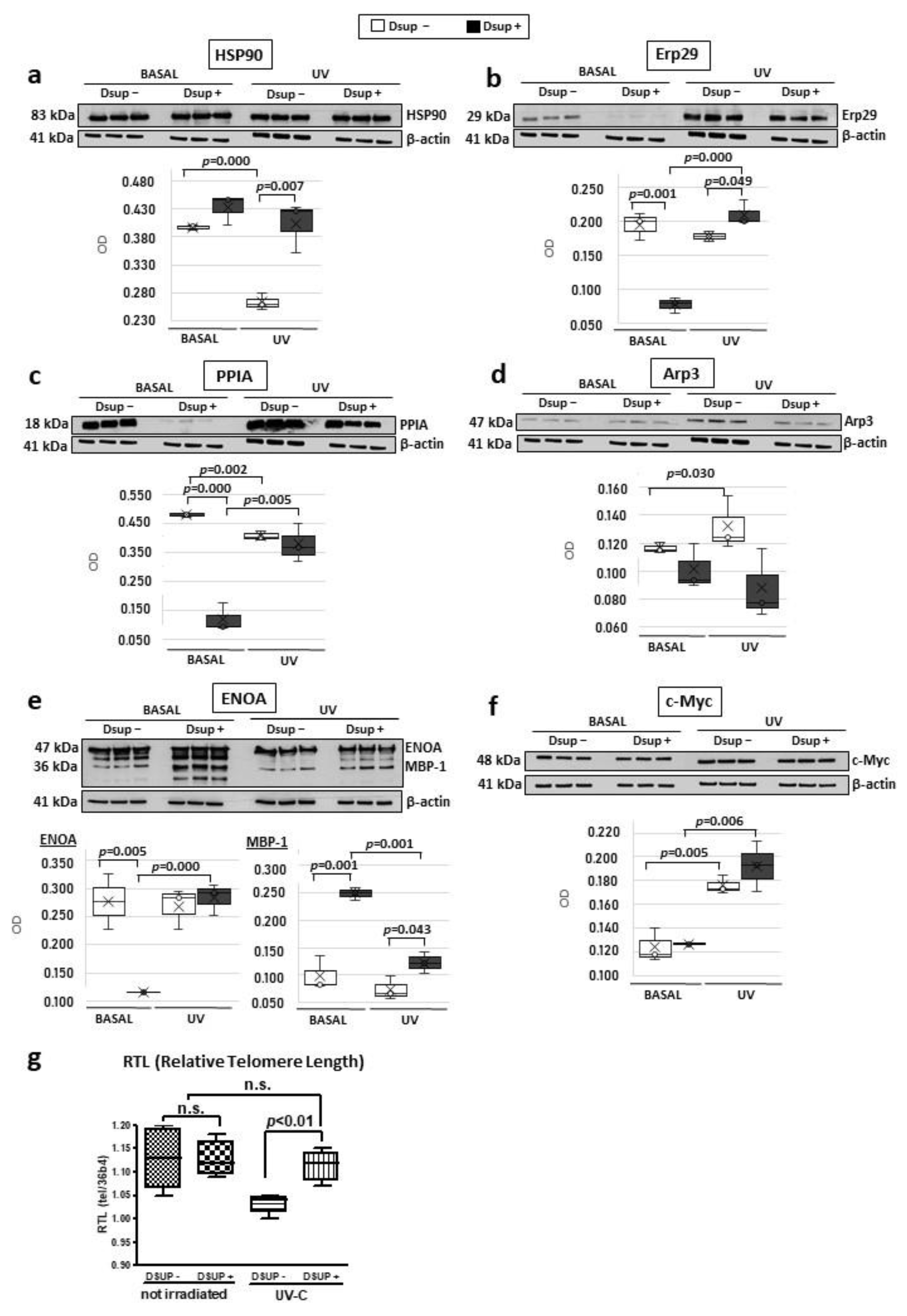 Ijms 24 11463 g007 Ijms 24 11463 g007