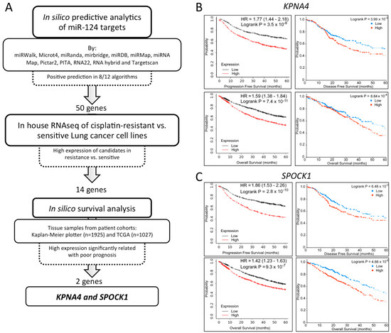 miR-124 as a Liquid Biopsy Prognostic Biomarker in Small