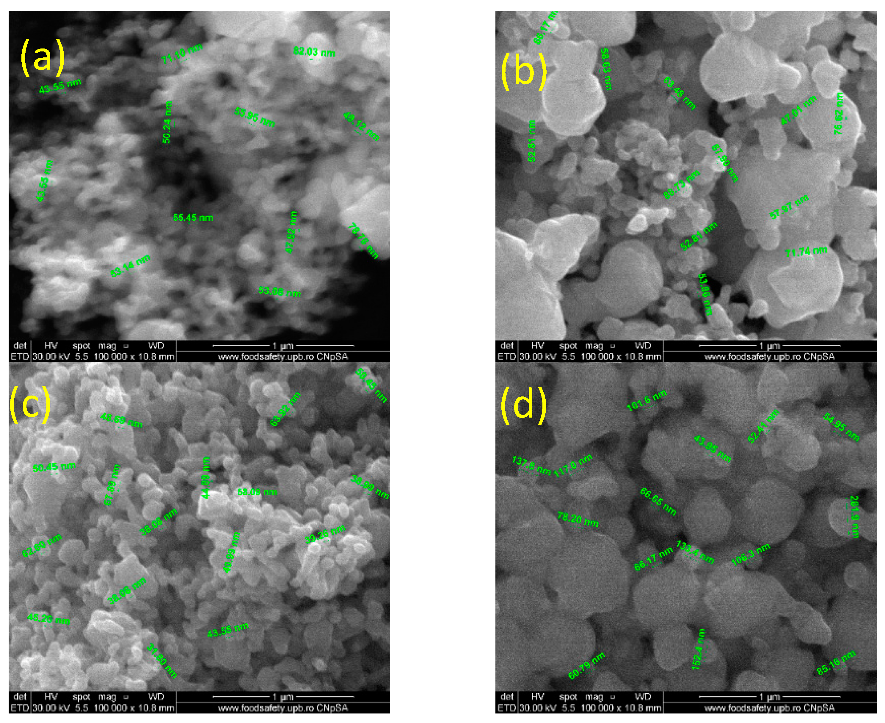 Ijms 24 11466 g002 Ijms 24 11466 g002