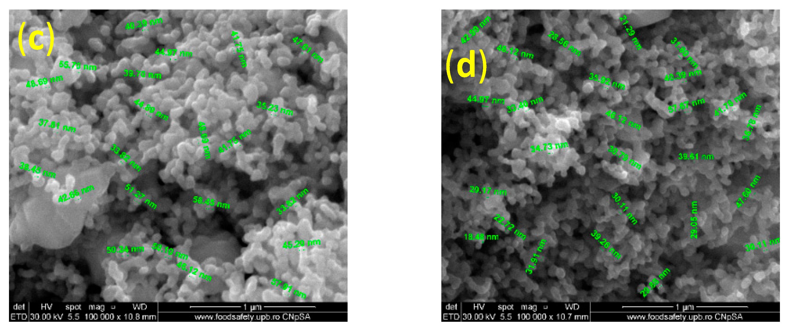 Ijms 24 11466 g003b Ijms 24 11466 g003b