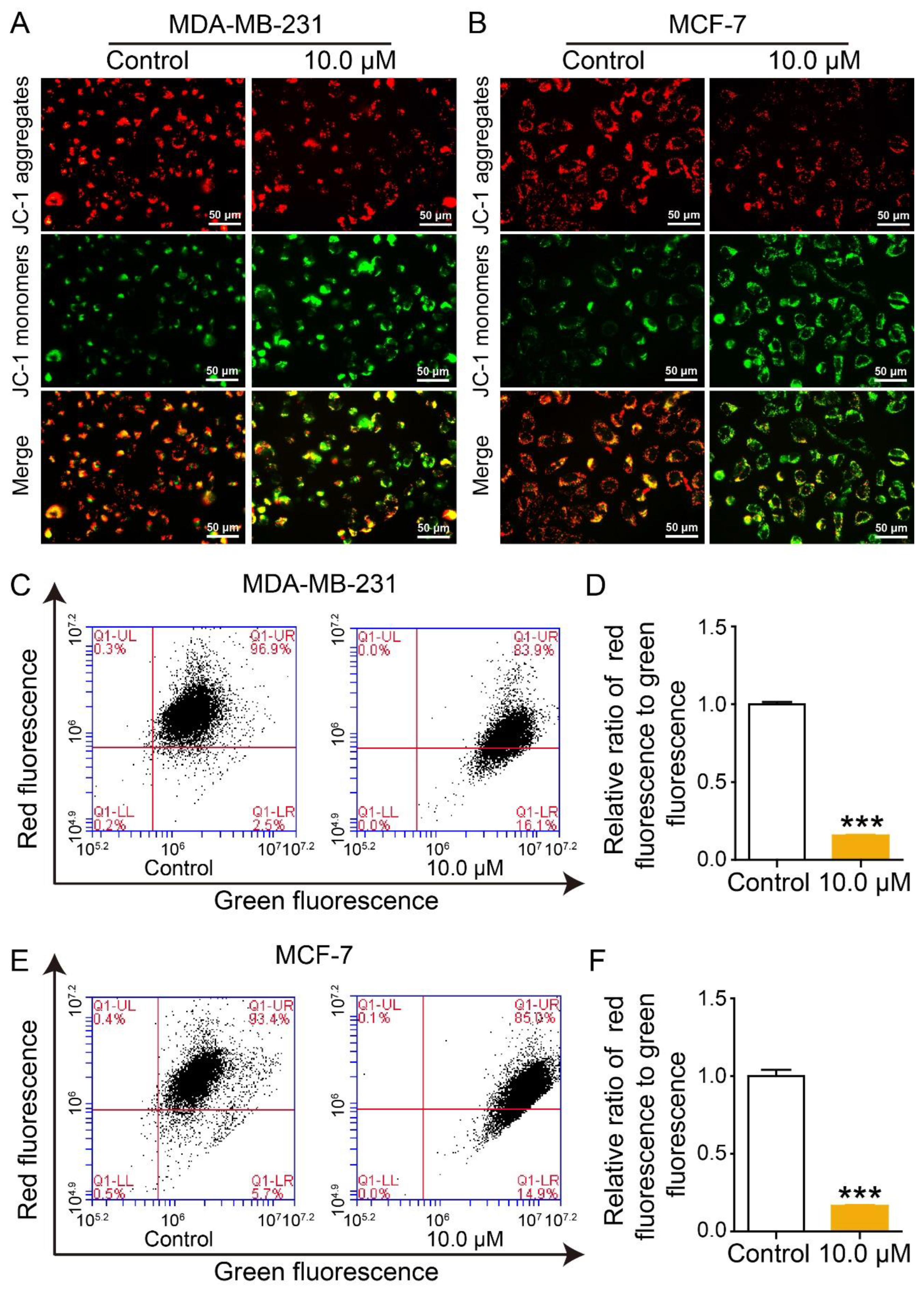 Ijms 24 11468 g005 Ijms 24 11468 g005