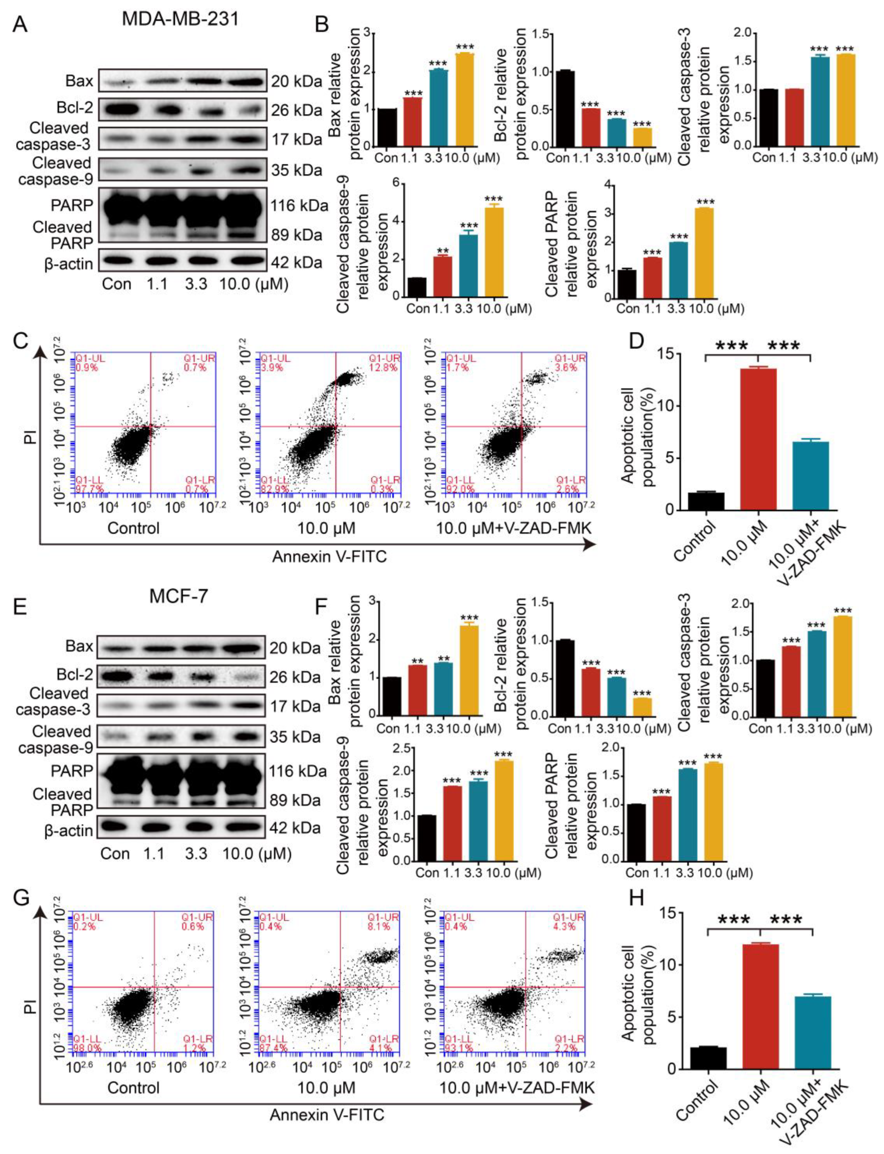 Ijms 24 11468 g007 Ijms 24 11468 g007