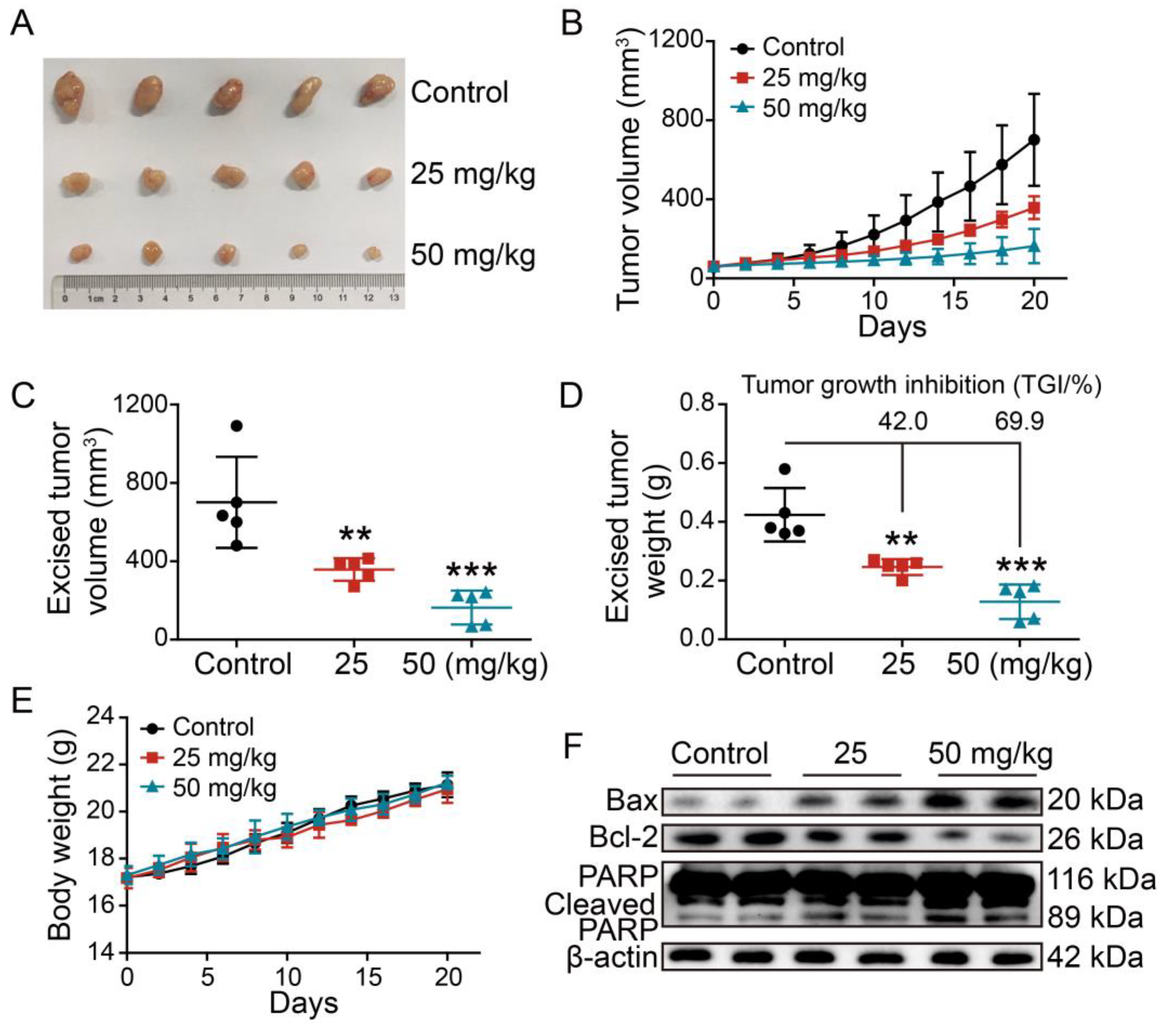 Ijms 24 11468 g008 Ijms 24 11468 g008